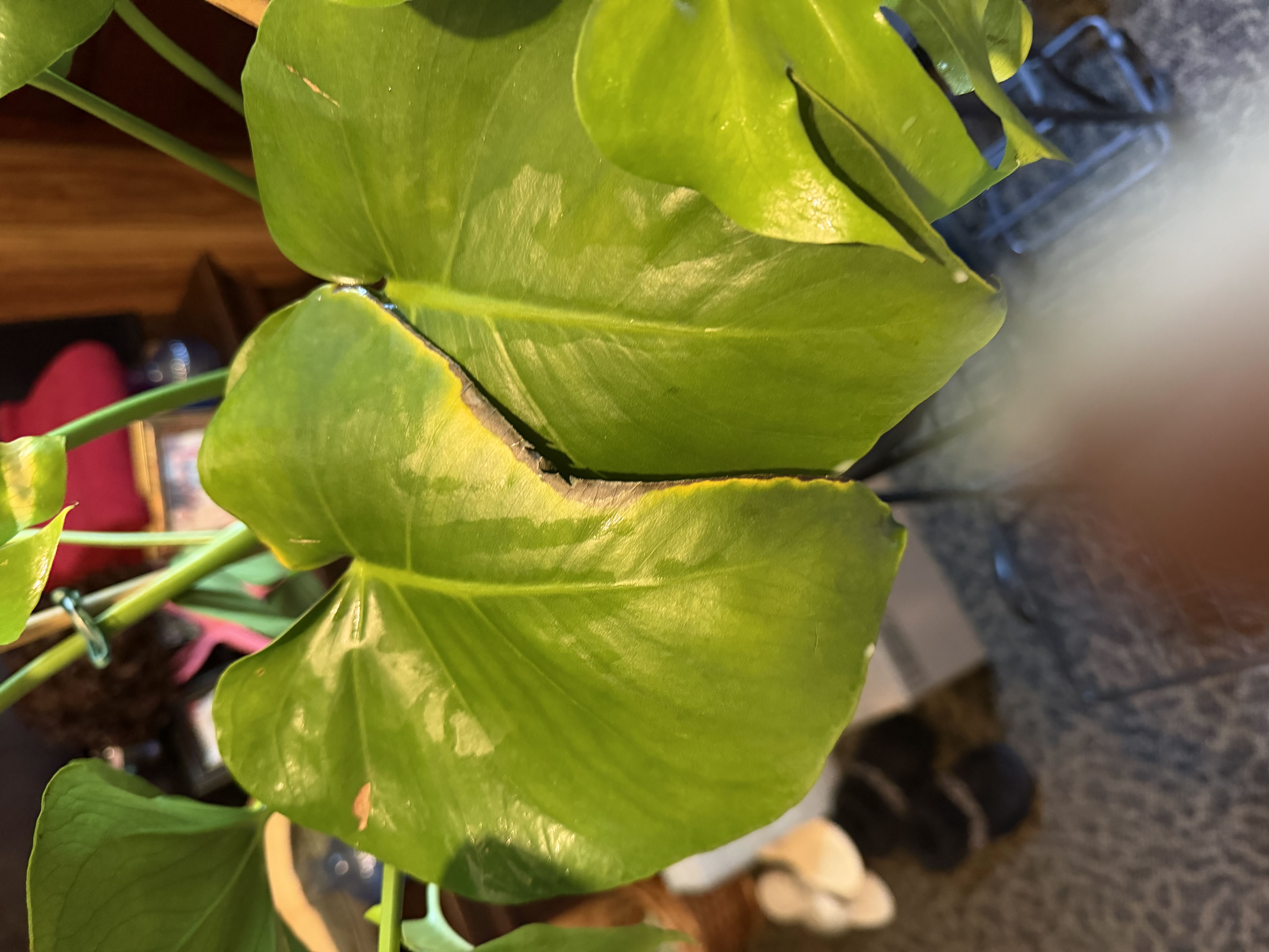 Photo from the post