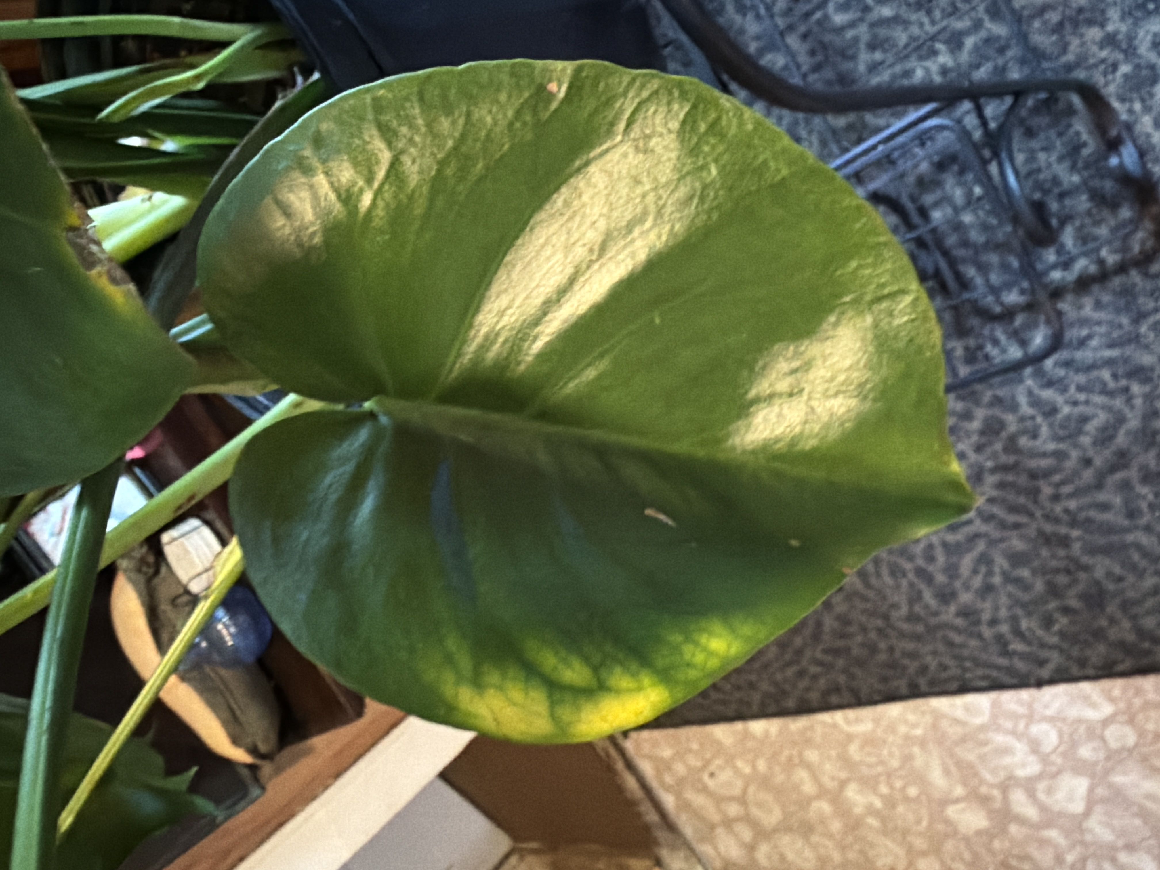 Photo from the post