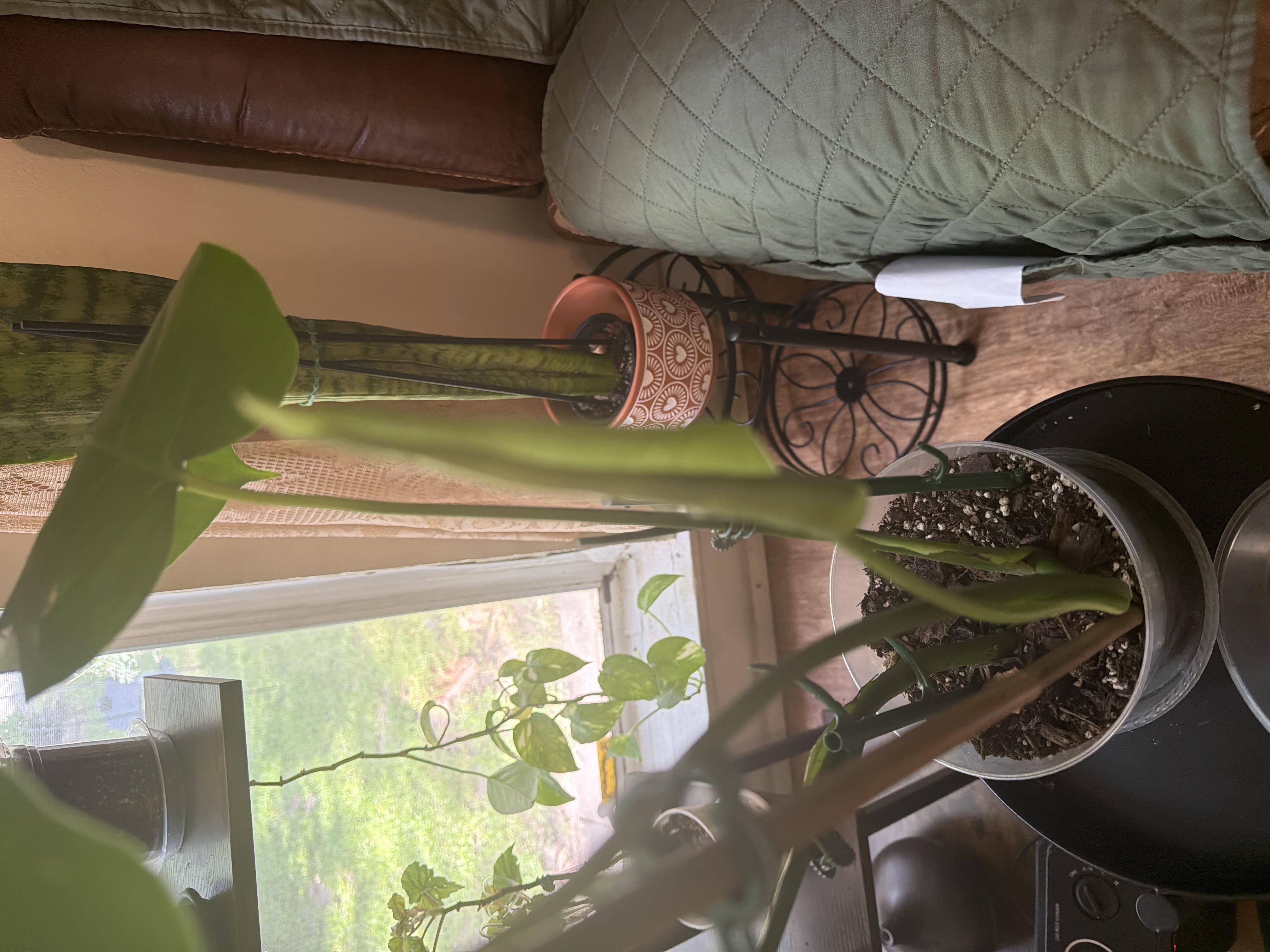 Photo from the post