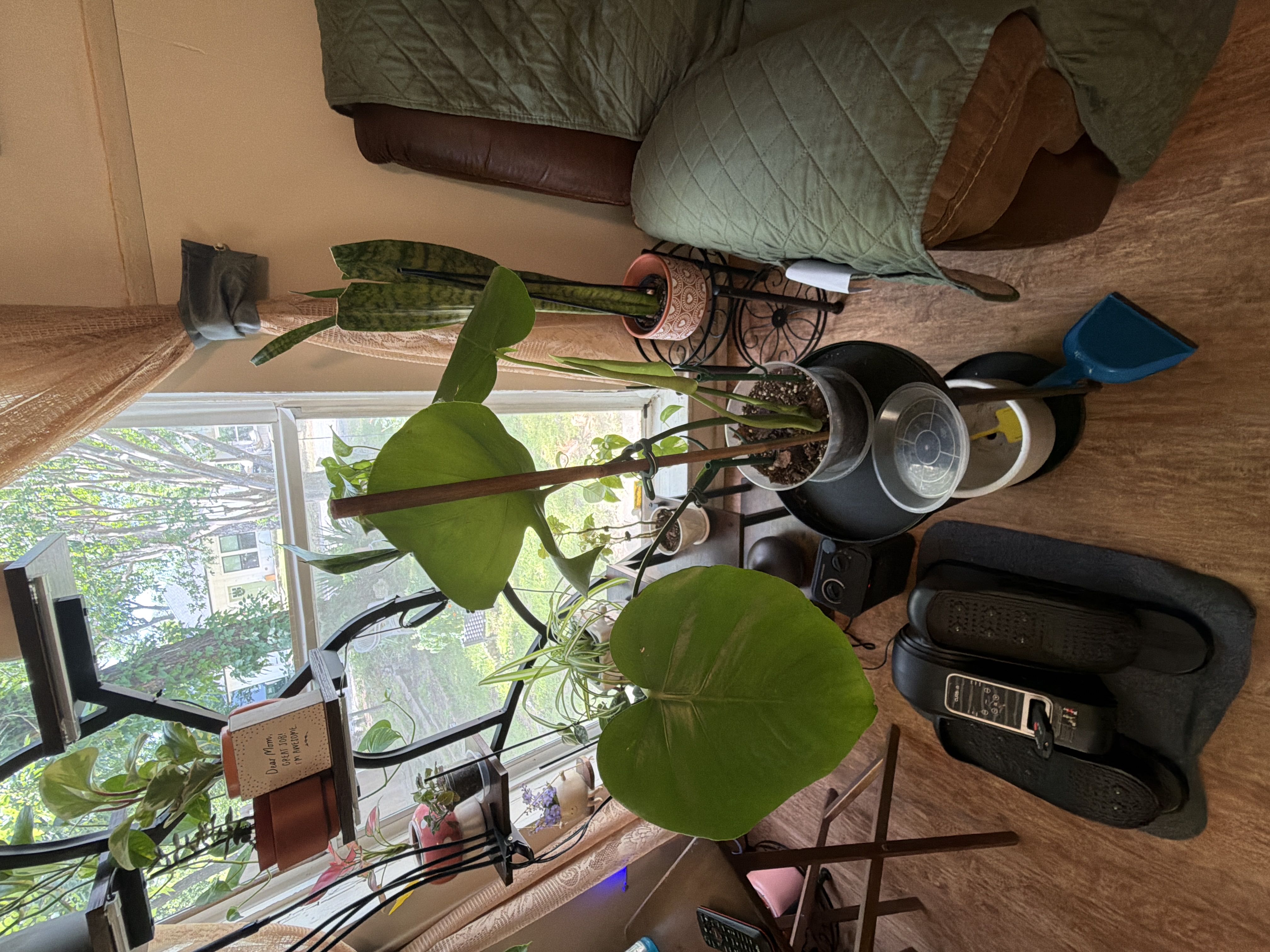 Photo from the post