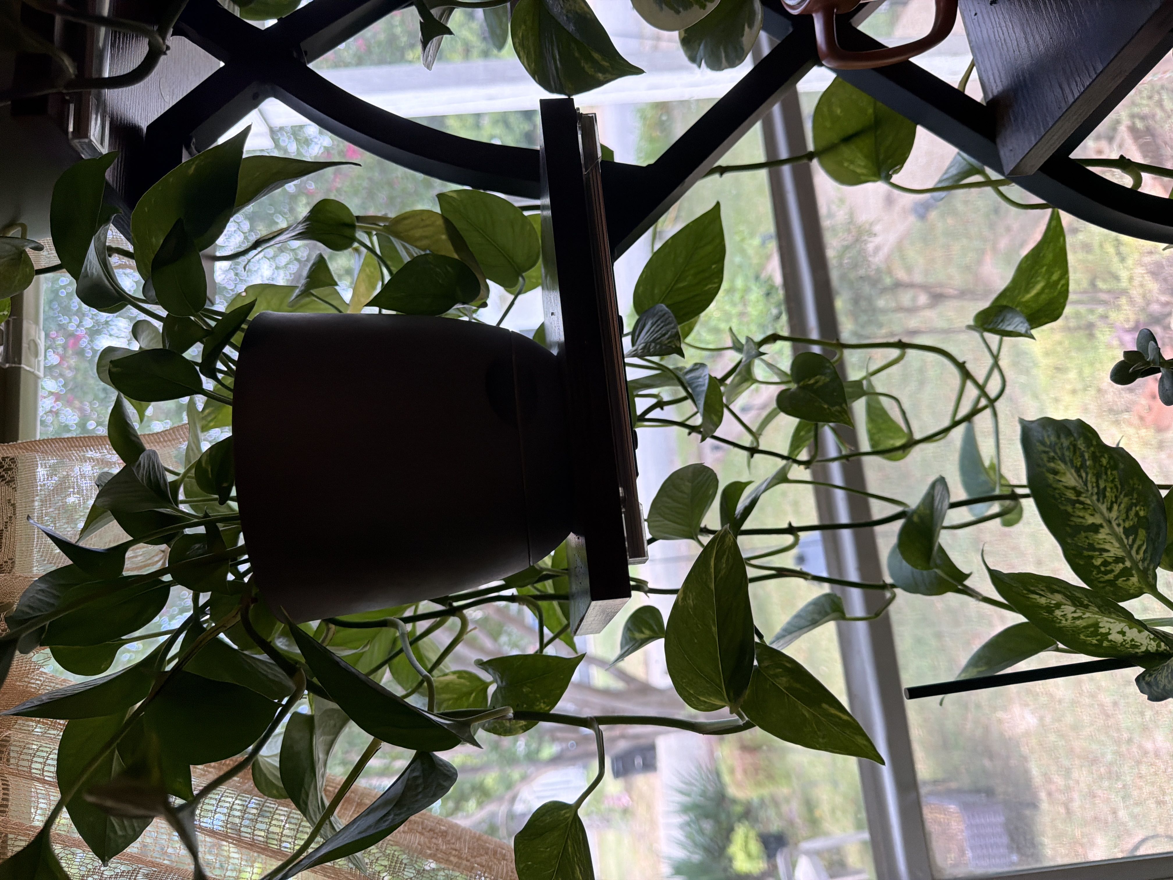 Photo from the post