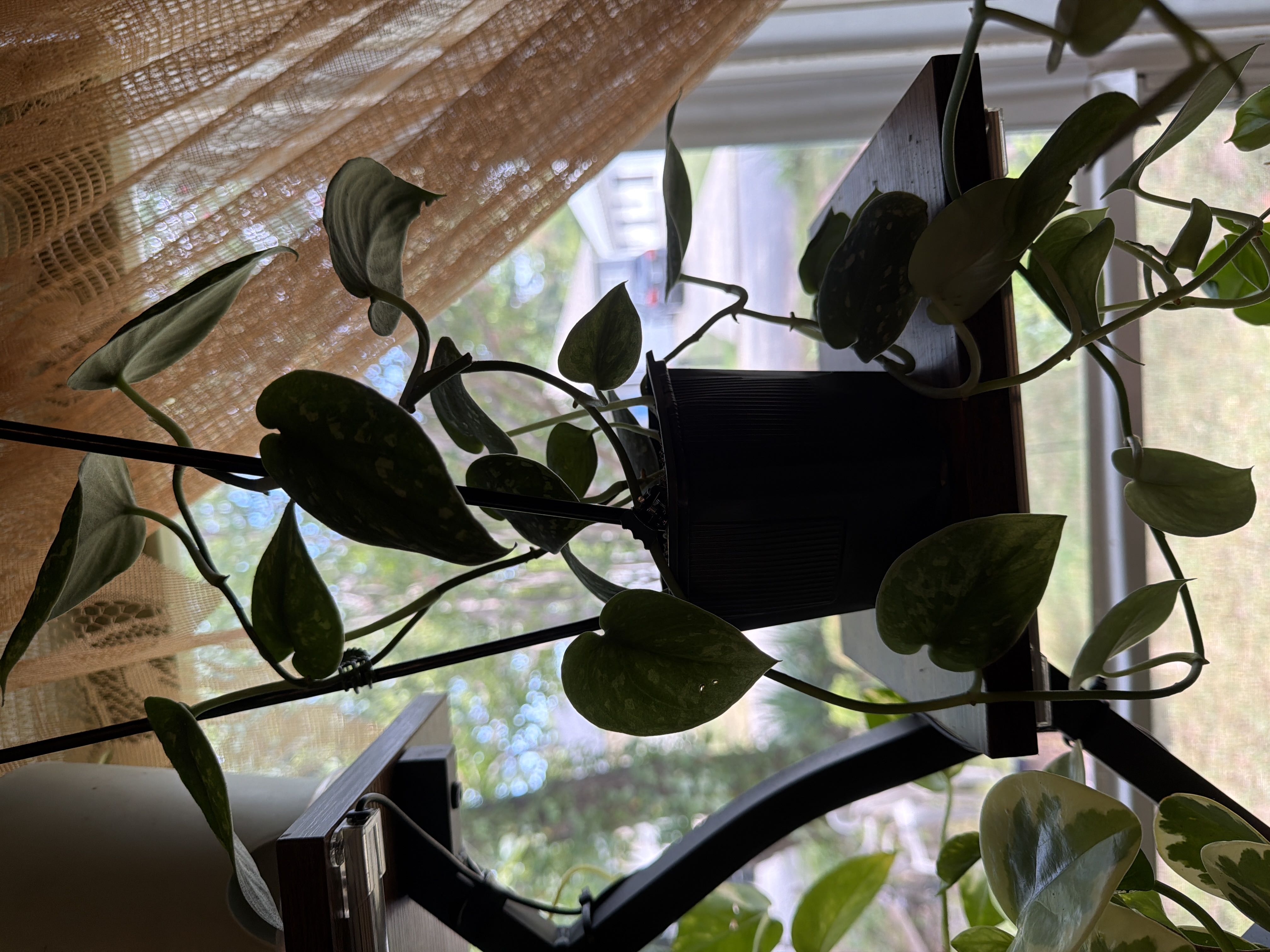 Photo from the post