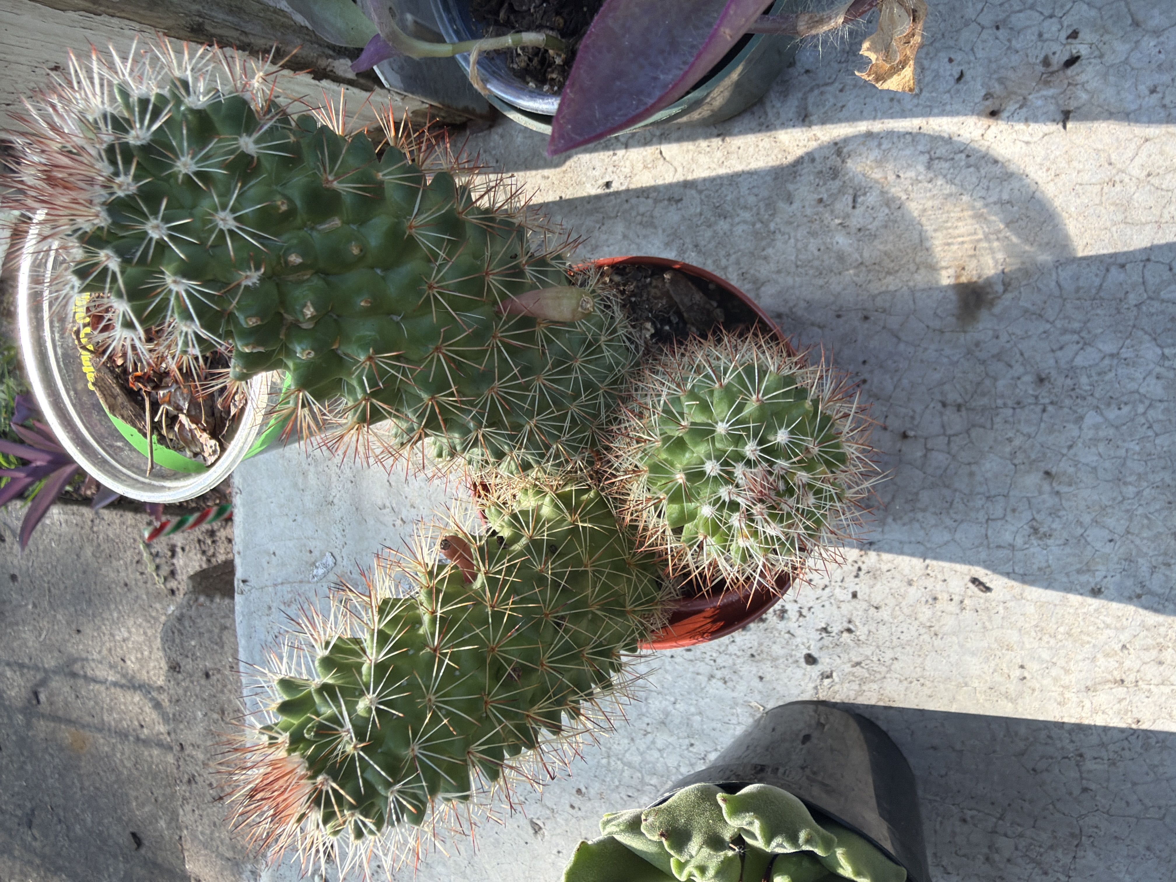 Photo from the post