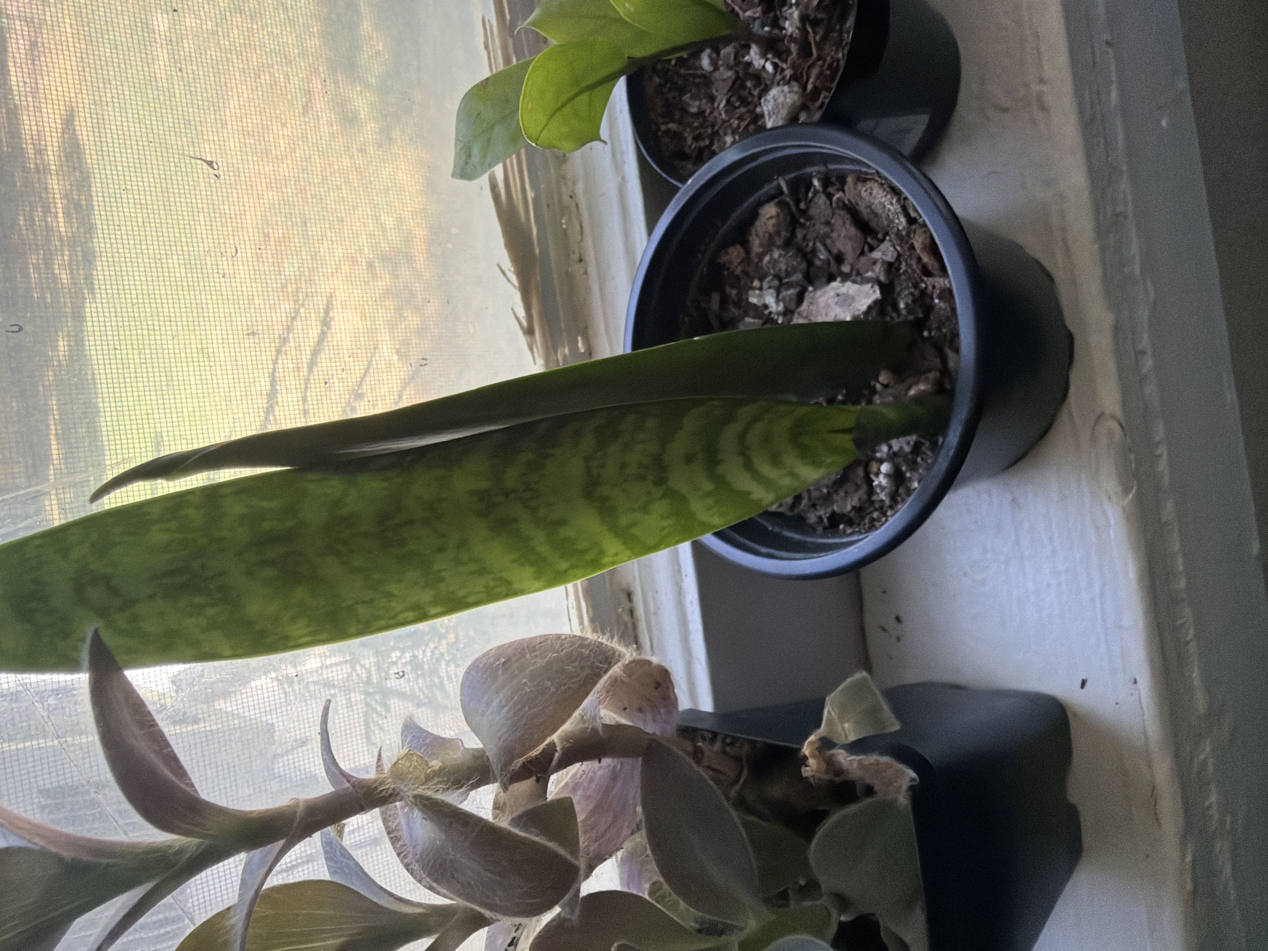Photo from the post