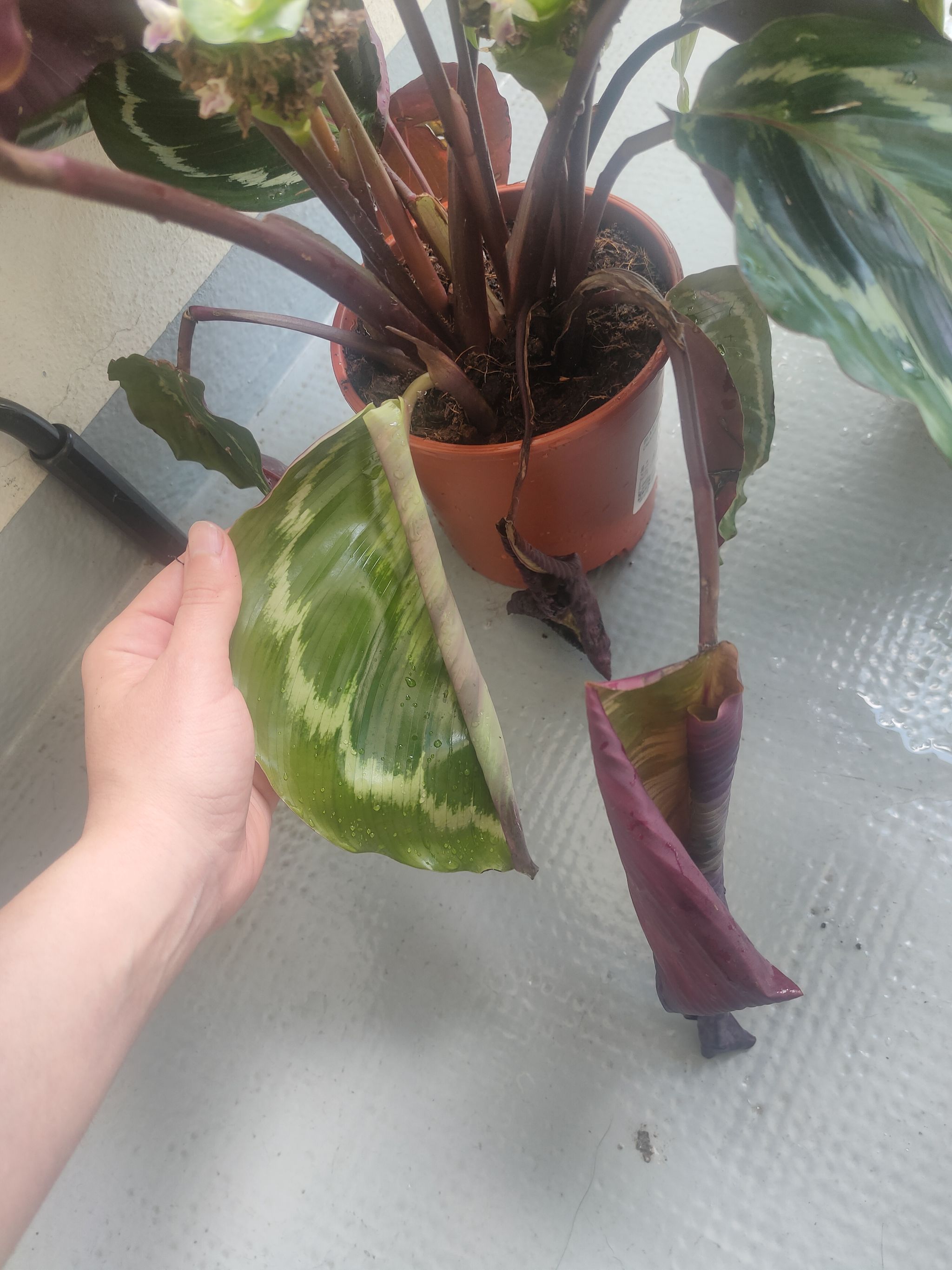 Photo from the post