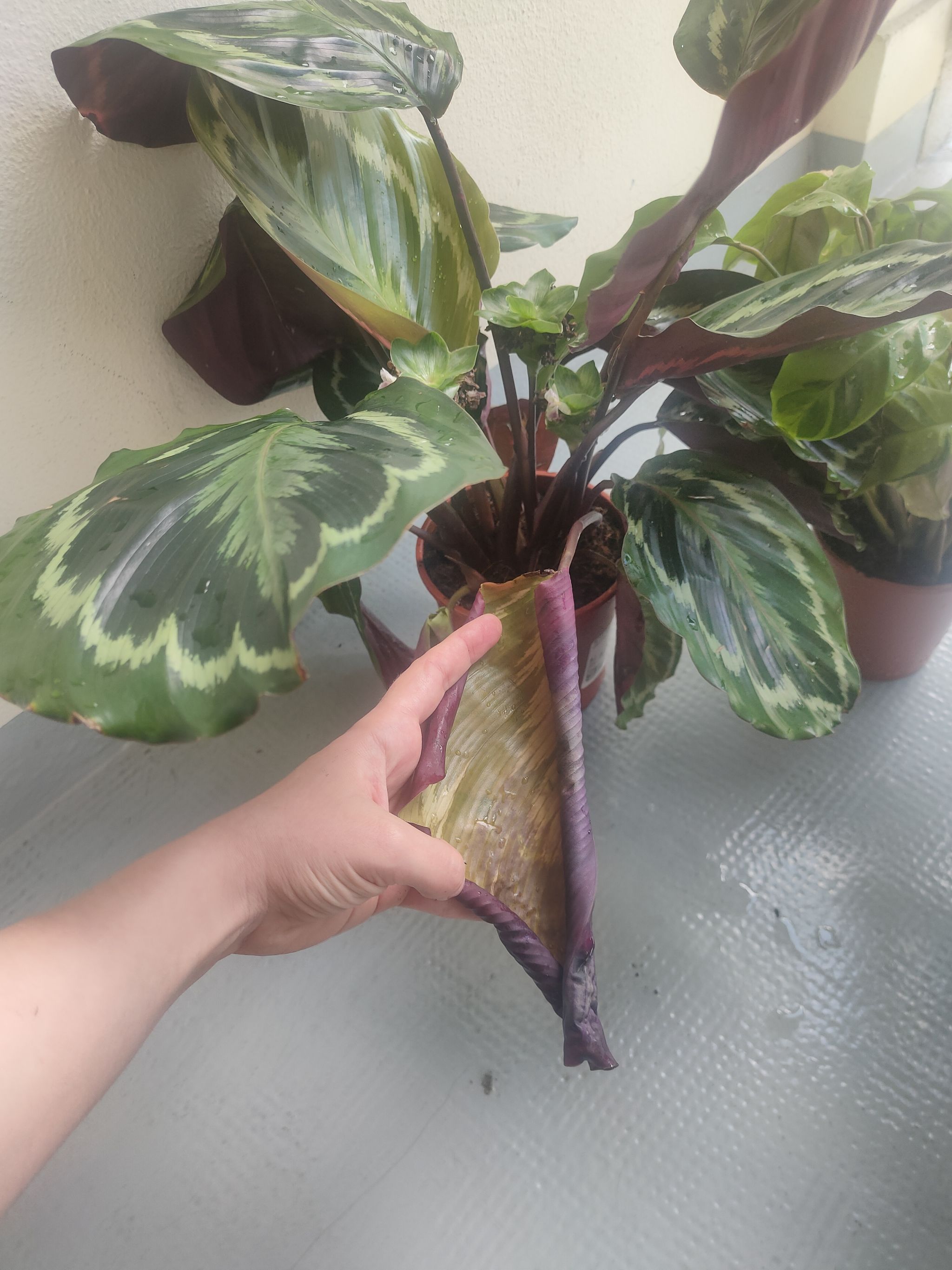 Photo from the post