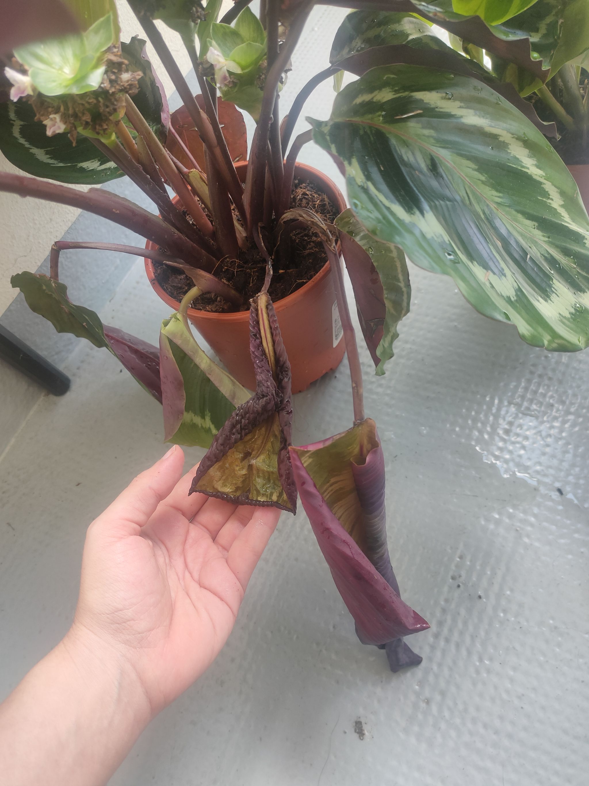 Photo from the post