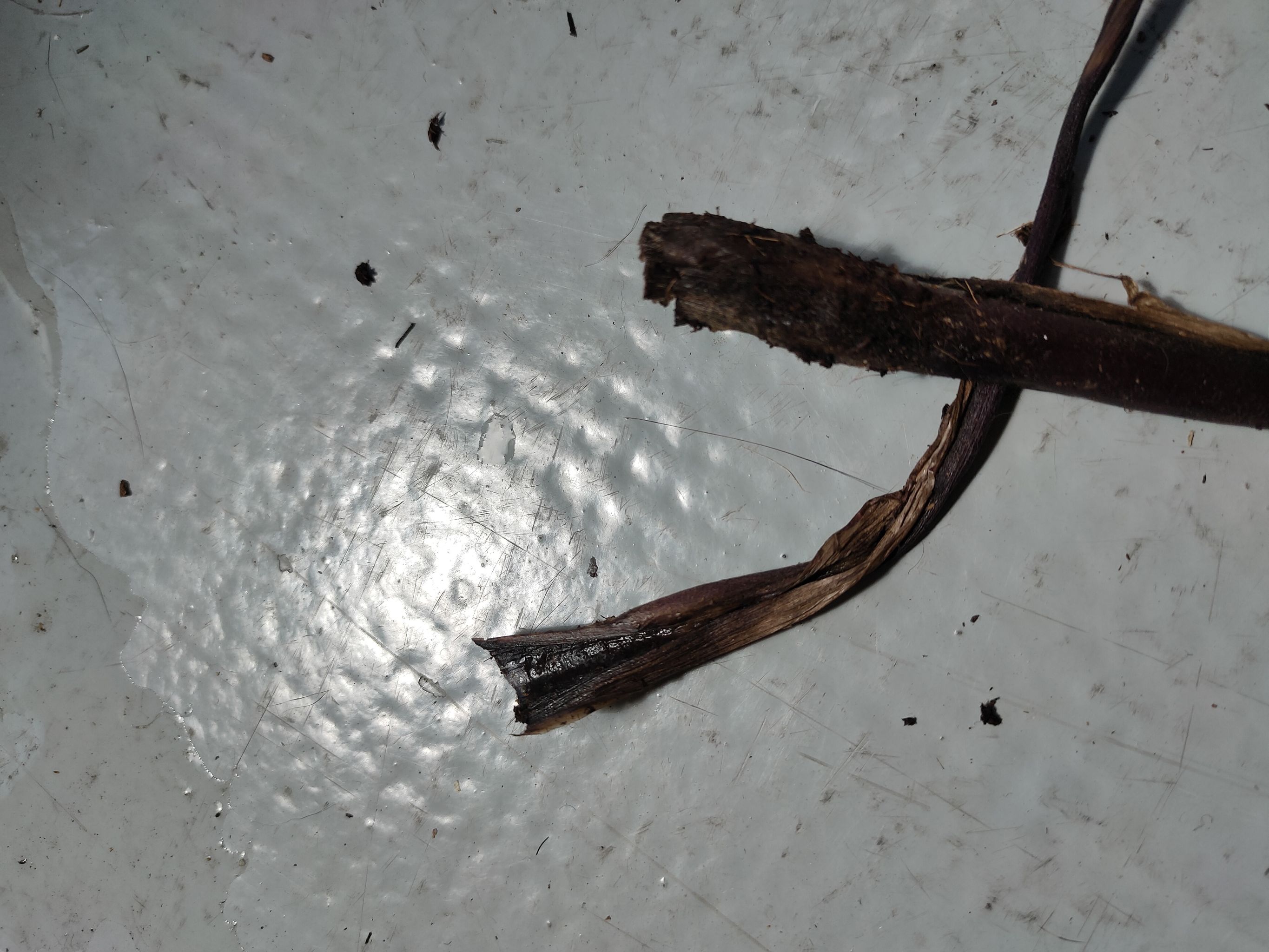 Photo from the post