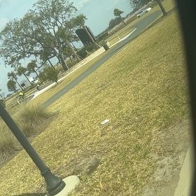 Photo of the plant species Rutabaga by @PoetWinterberry named Lebron on Greg, the plant care app