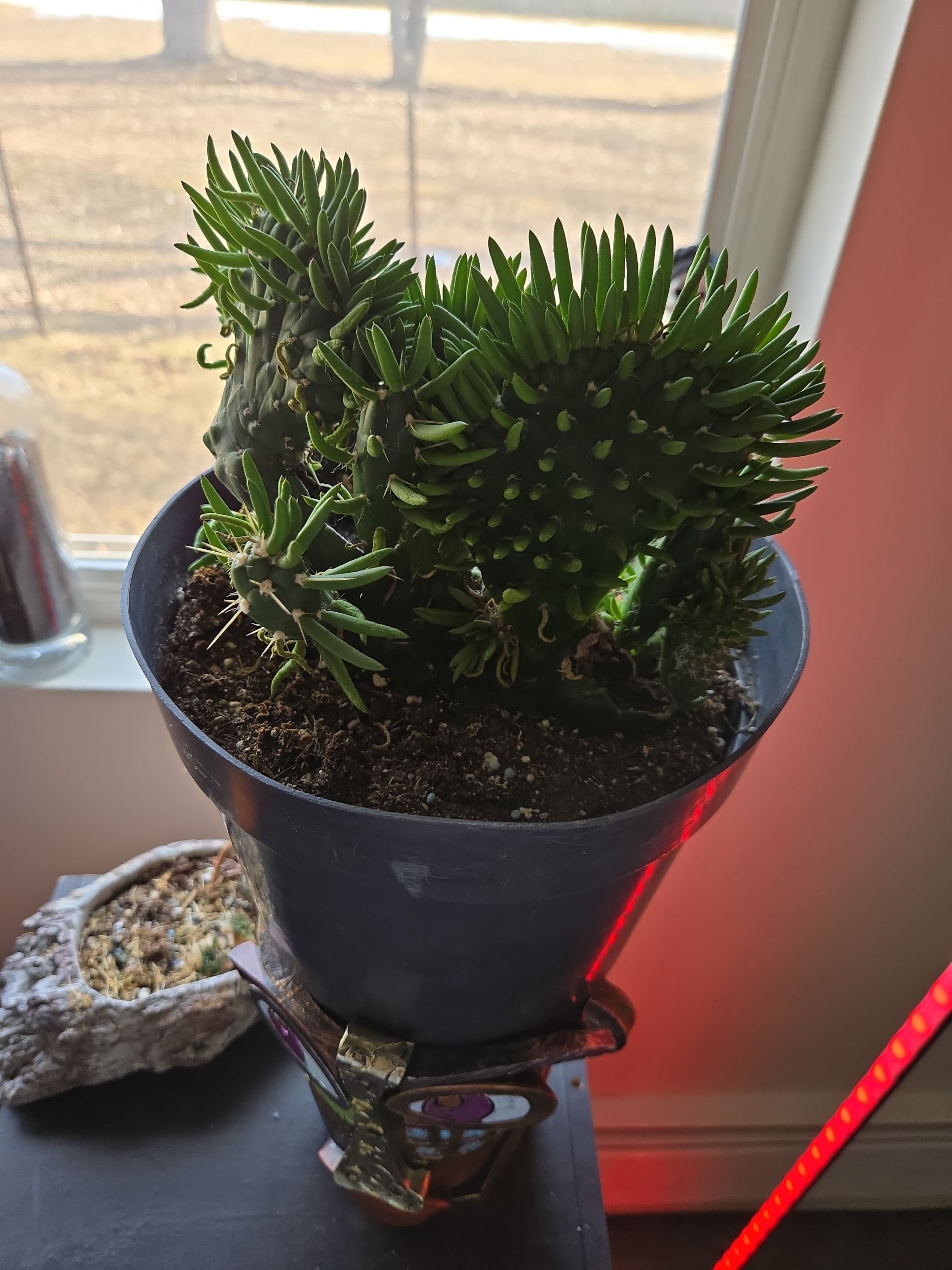Photo from the post
