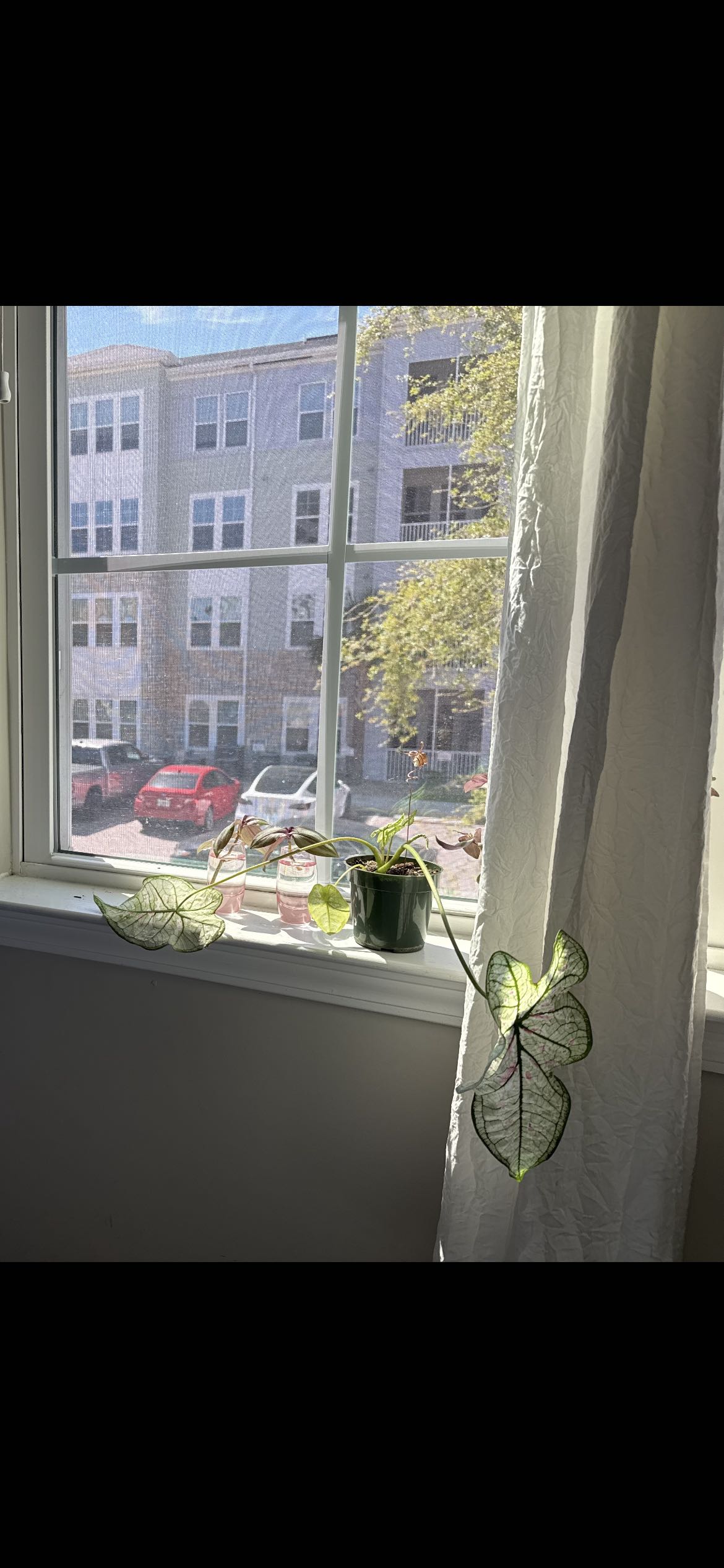 Photo from the post