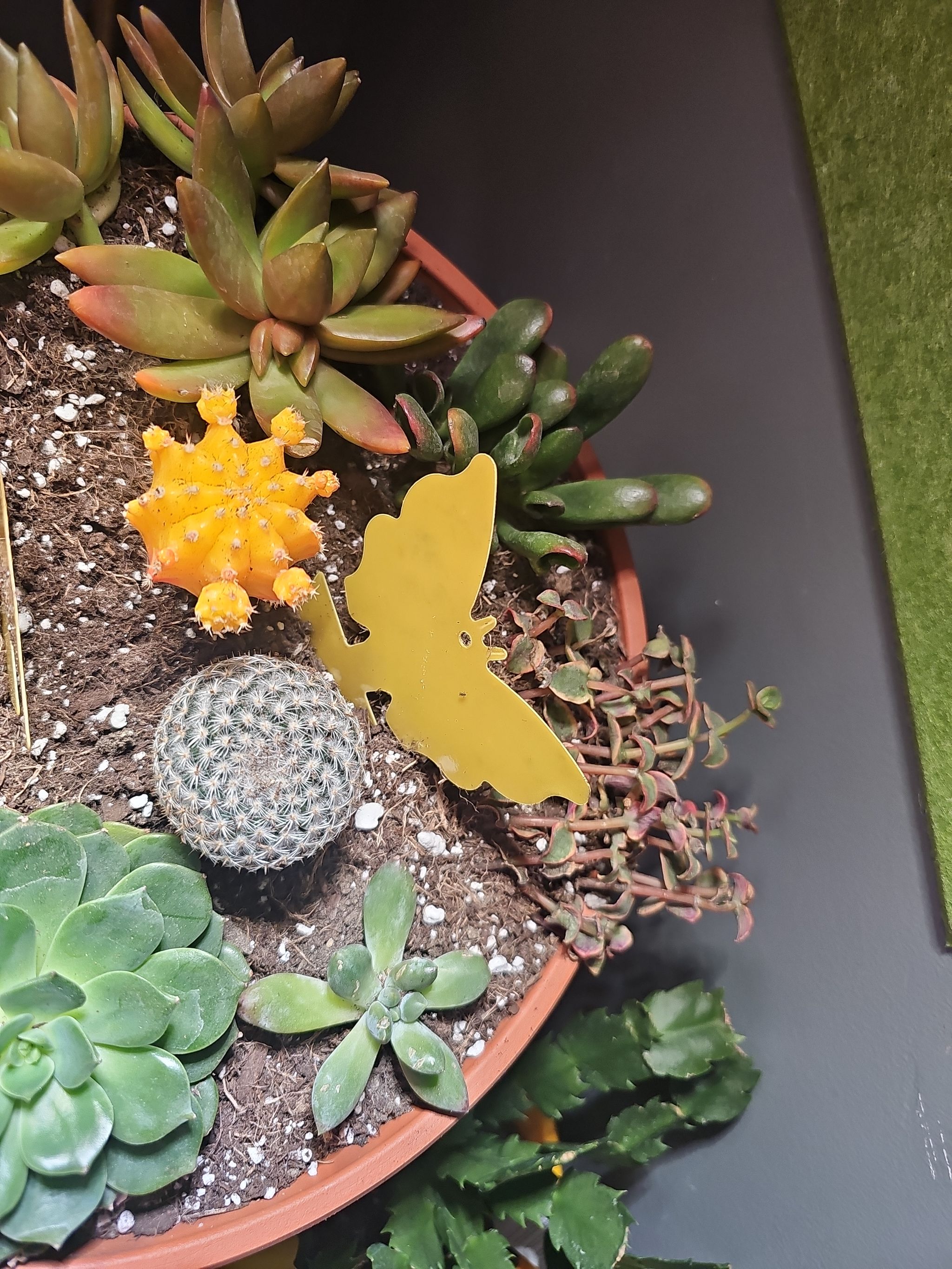 Photo from the post