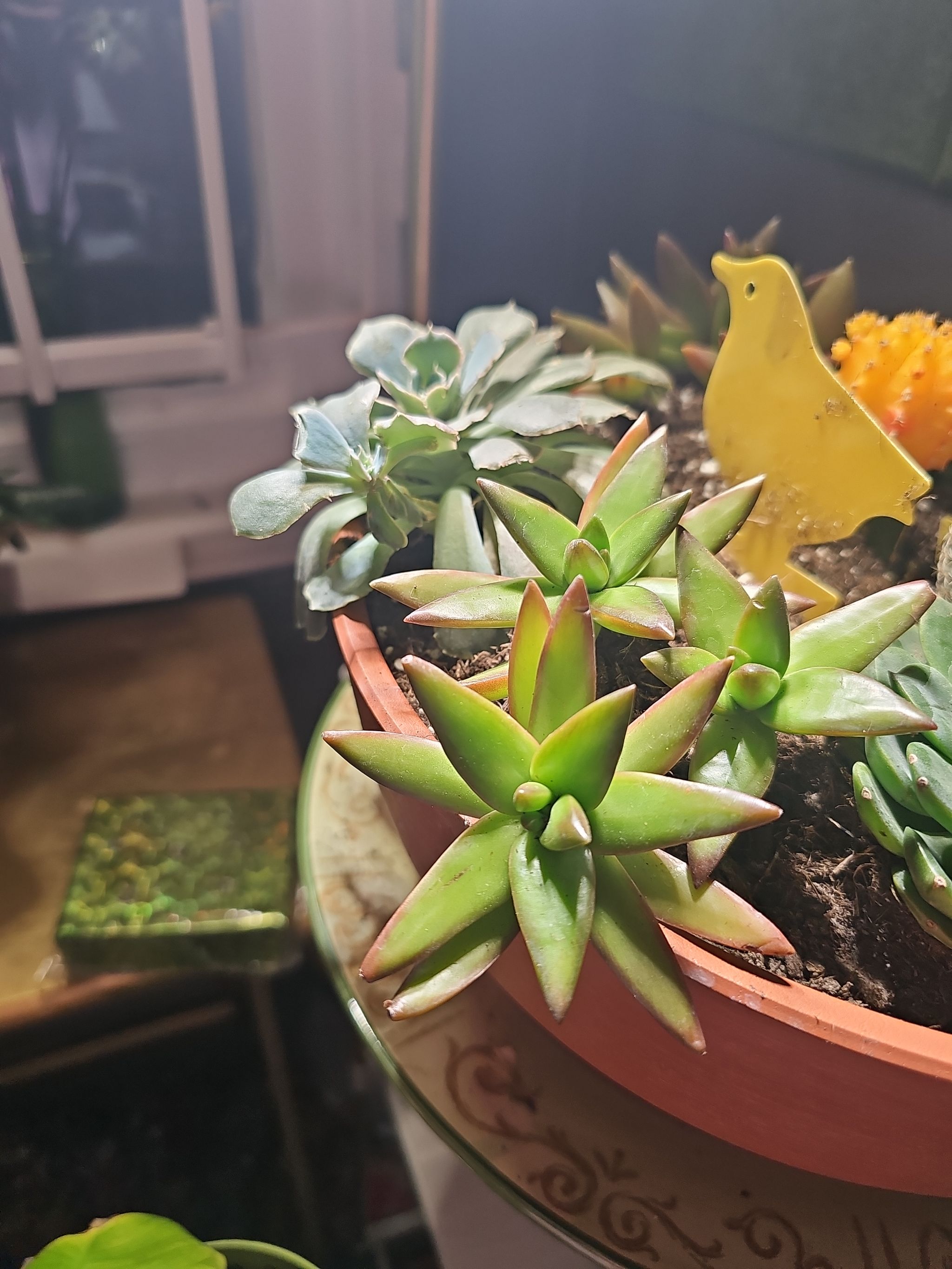 Photo from the post