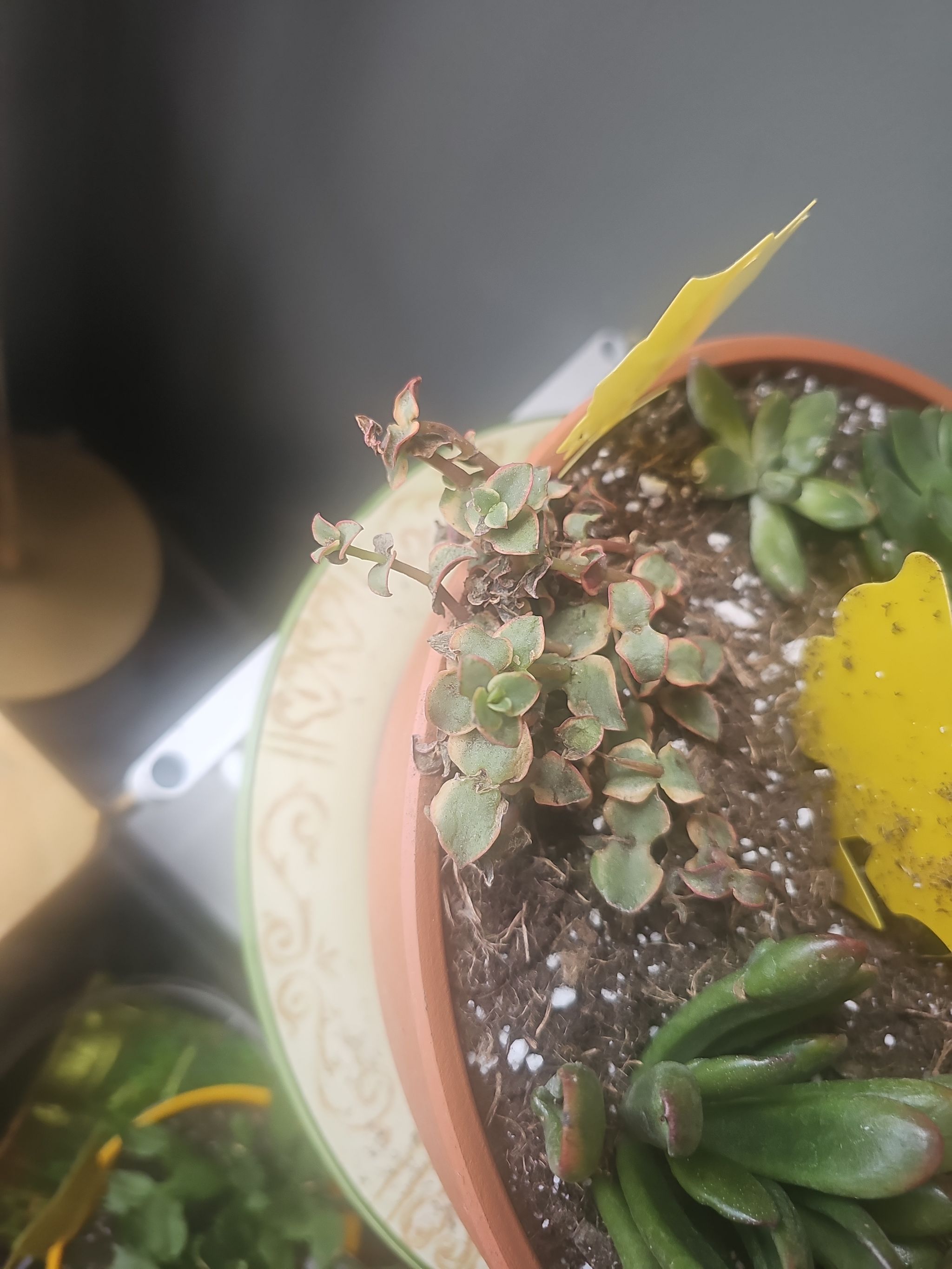 Photo from the post