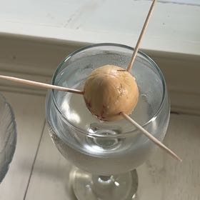 Photo of the plant species avocado seed by @NewApple67 named AvocOtto on Greg, the plant care app