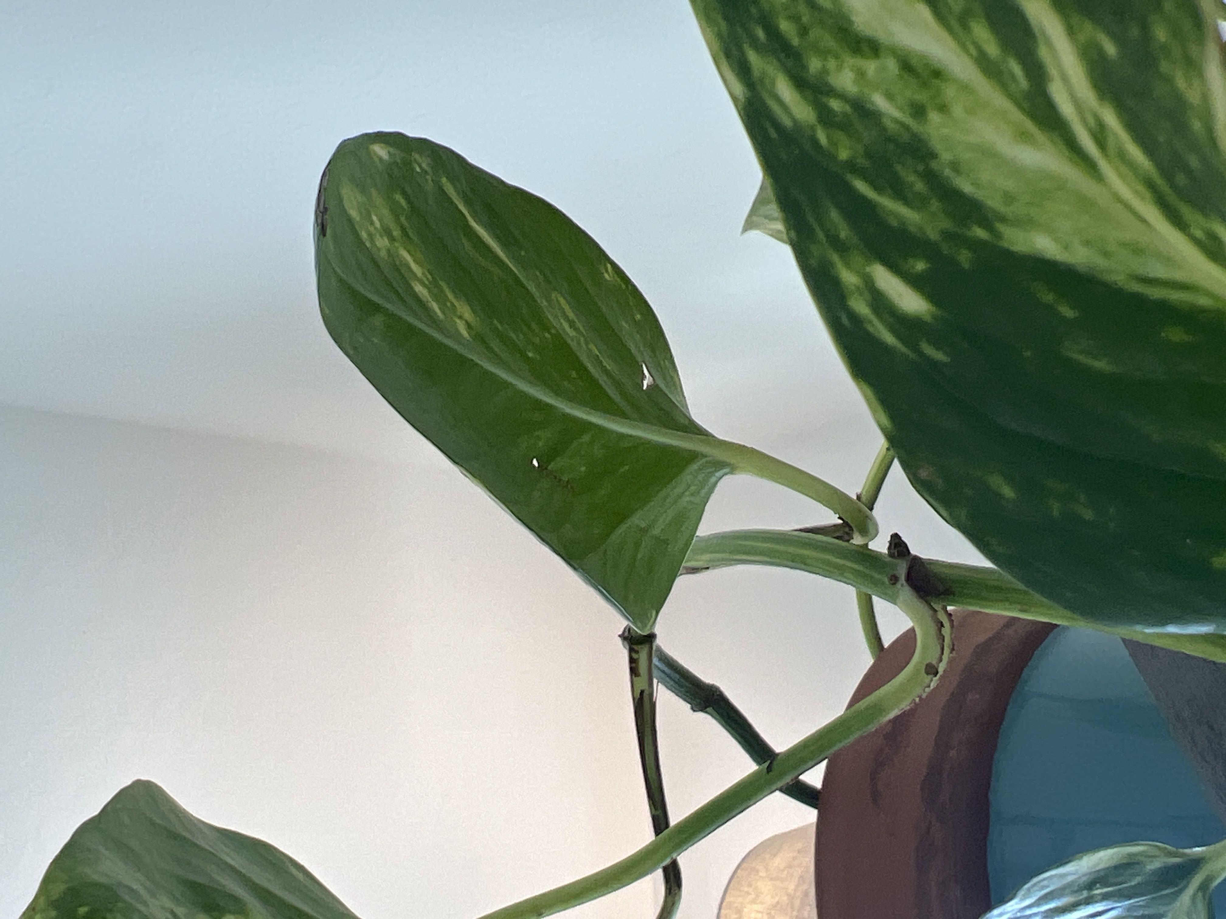 Photo from the post