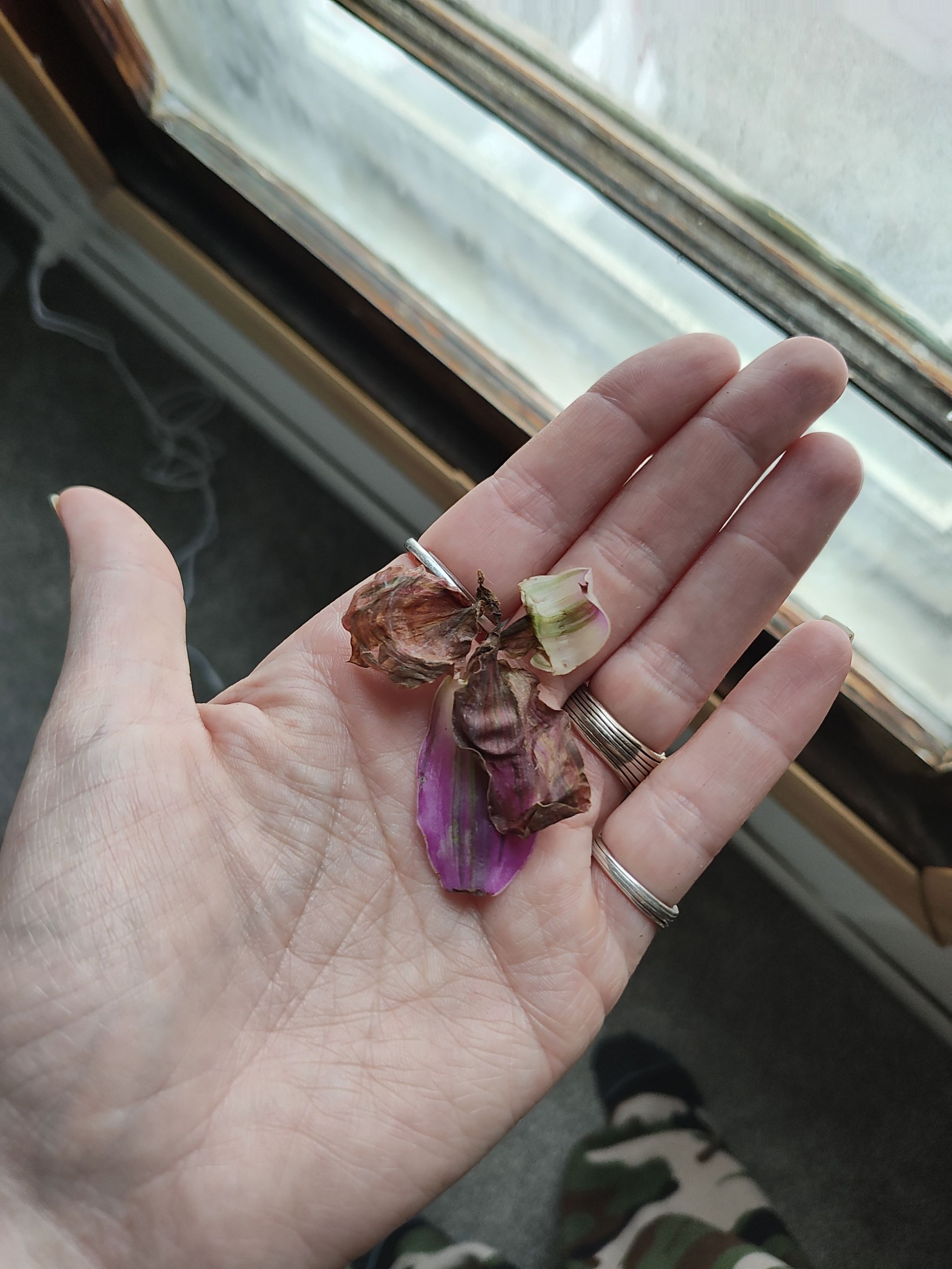 Photo from the post
