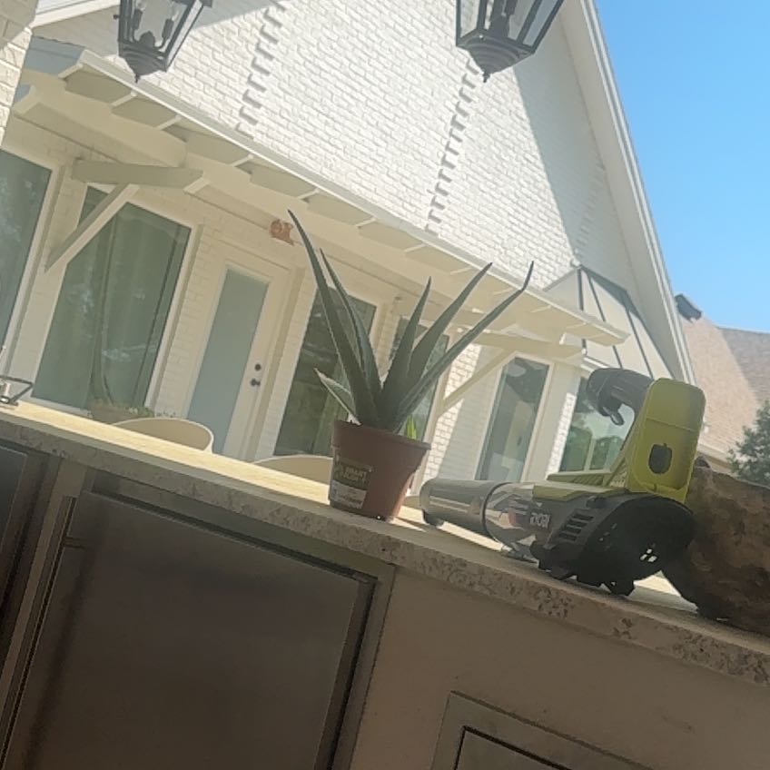 Photo of the plant species Aloe vera by @LuxurySalsa39 named Fernie Mercury on Greg, the plant care app