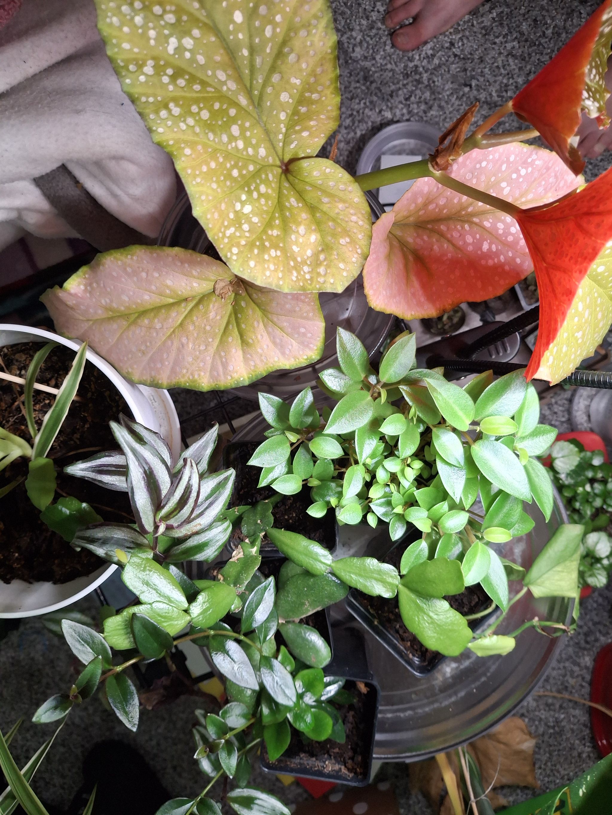 Photo from the post