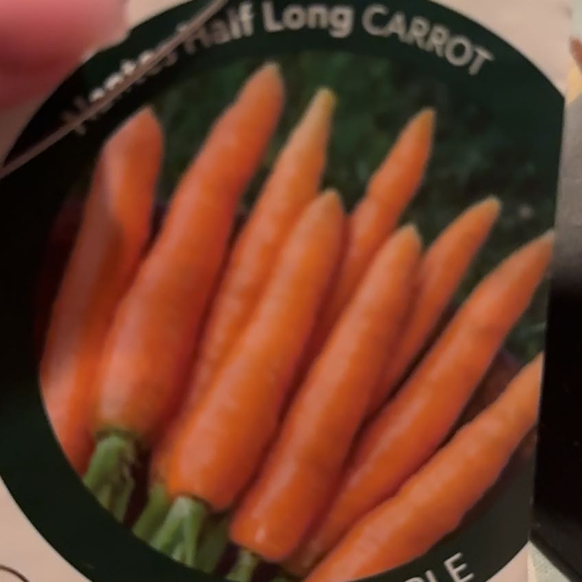 Photo of the plant species Carrot 'Nantes' by @glimmer named Clooney on Greg, the plant care app