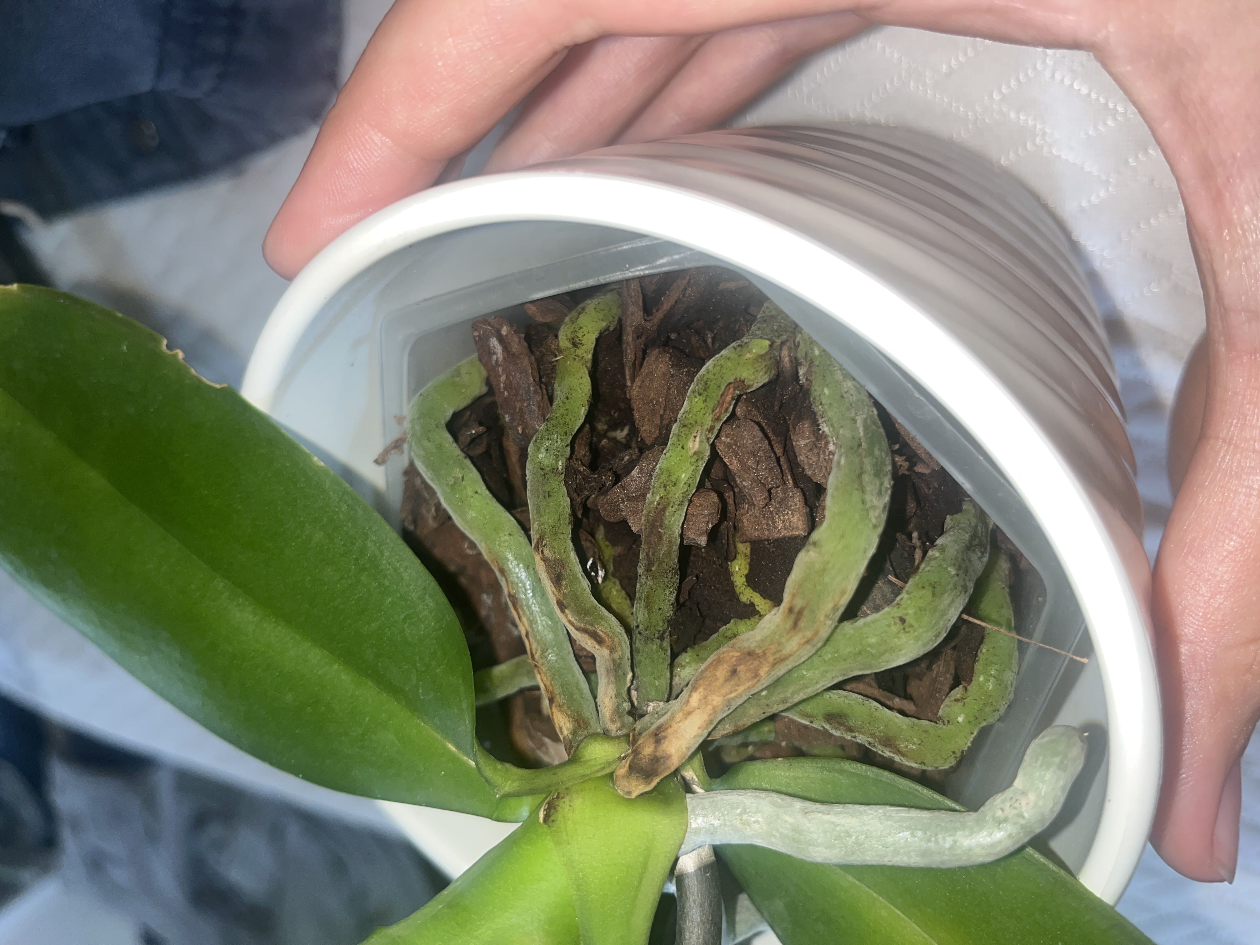 Photo from the post