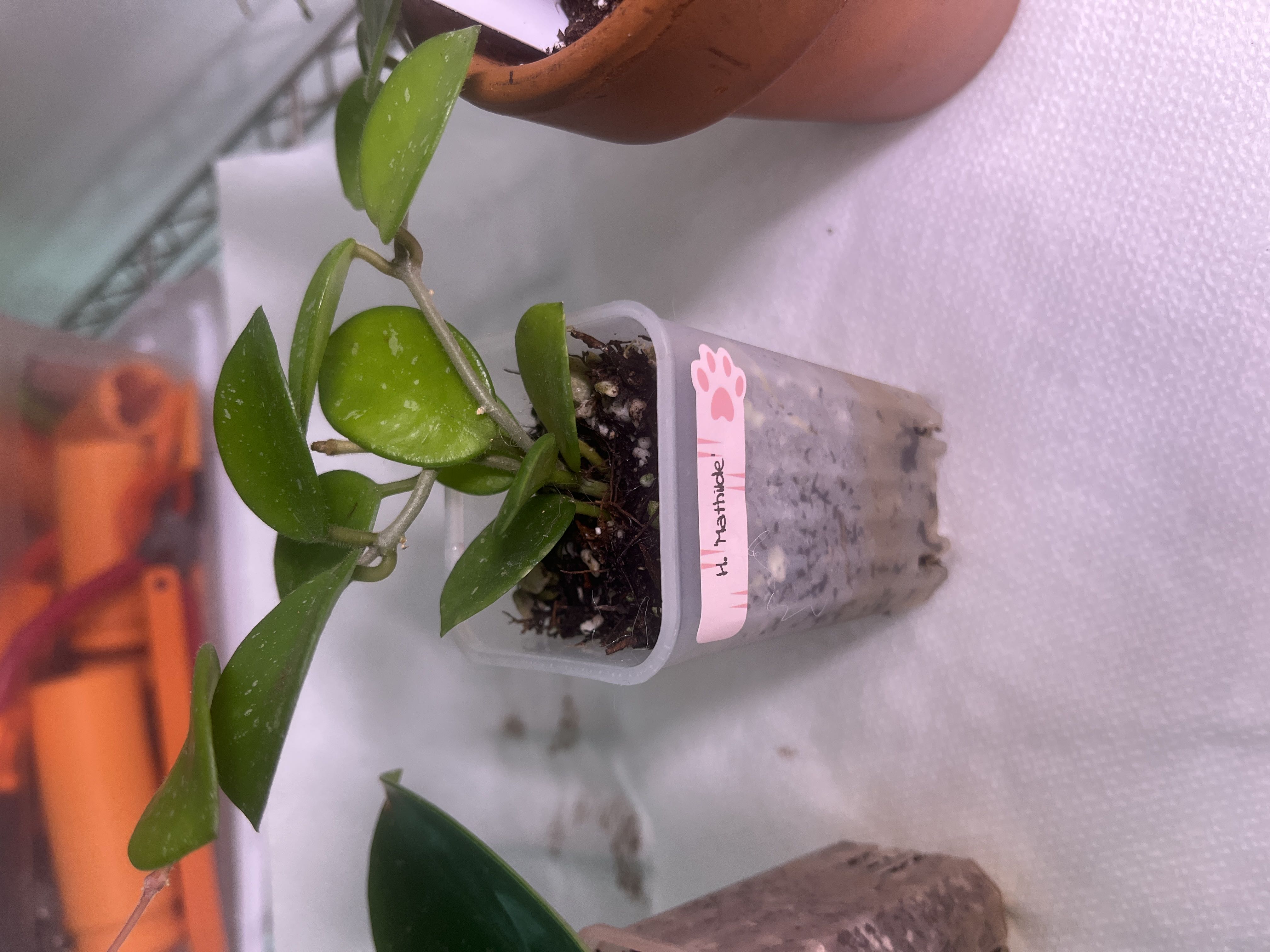 Photo from the post