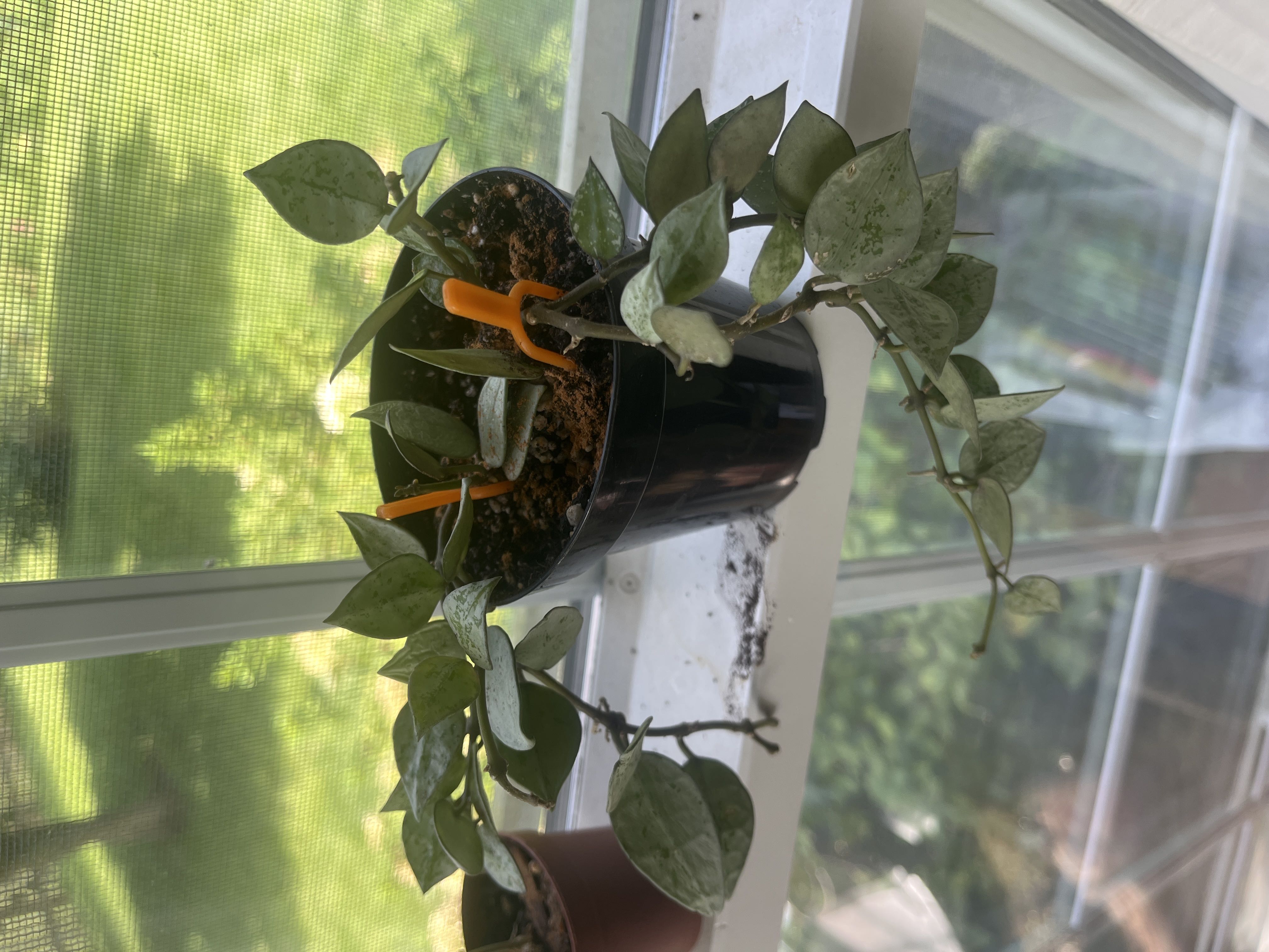 Photo from the post