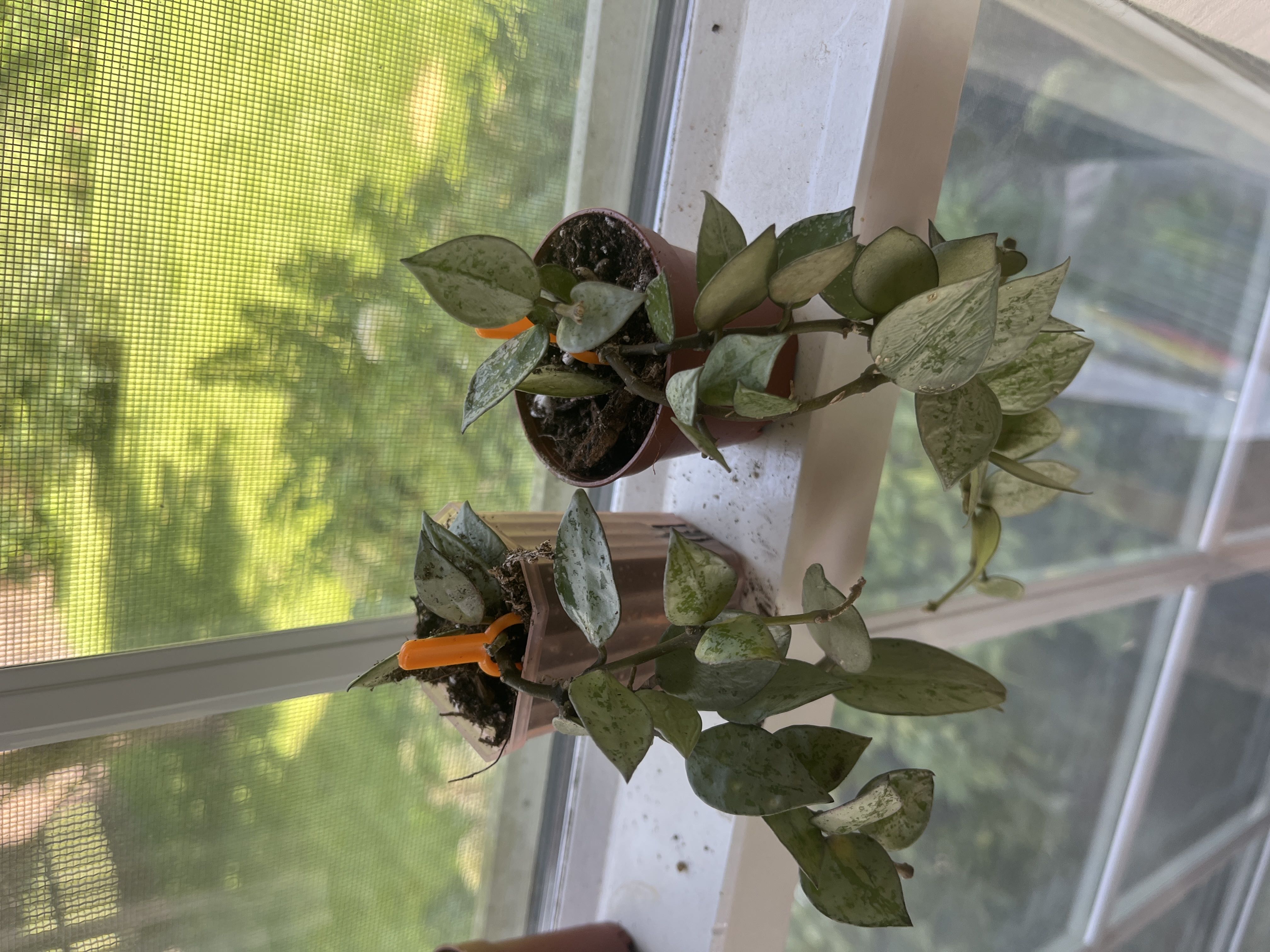 Photo from the post