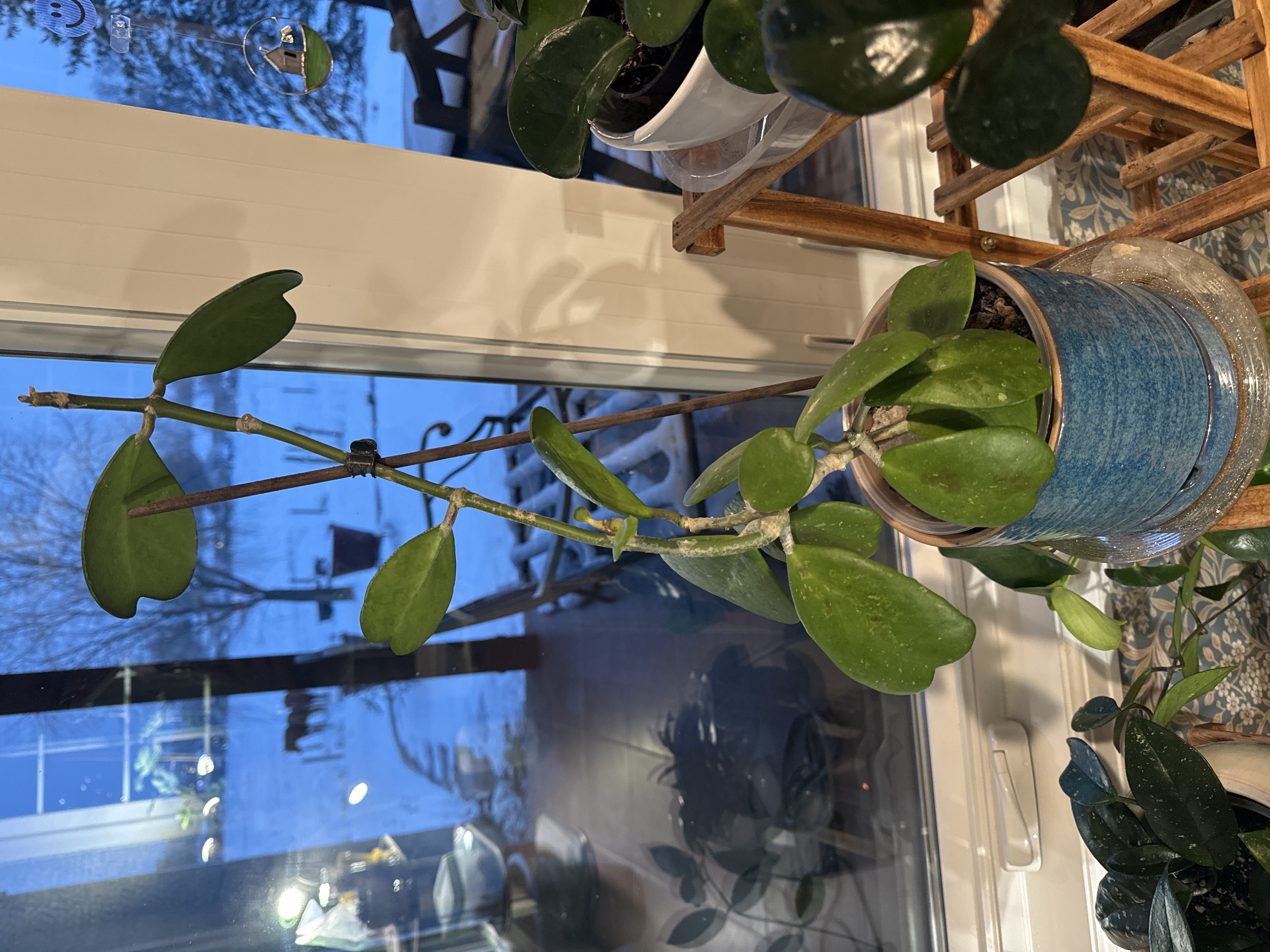 Photo from the post