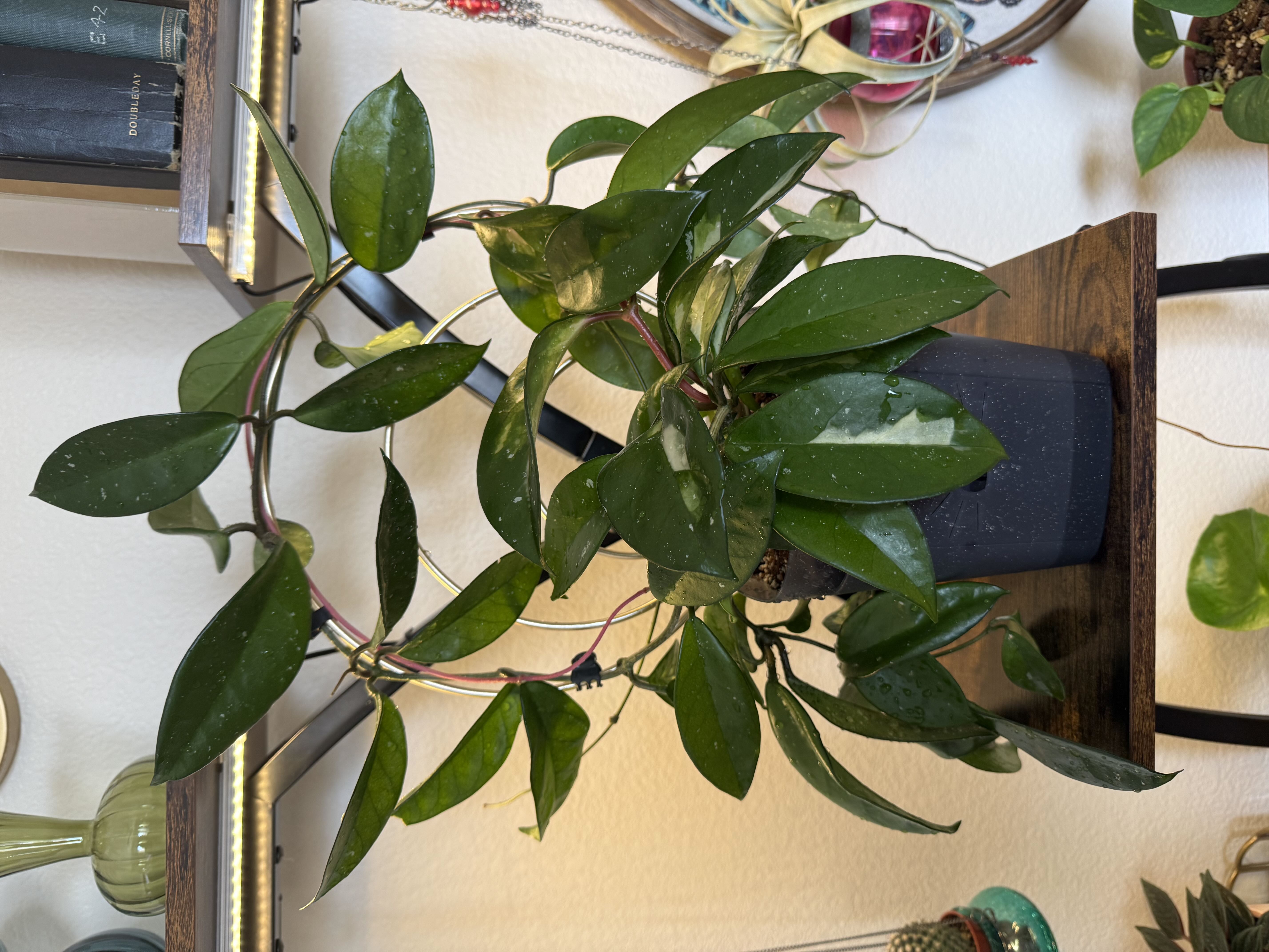 Photo from the post