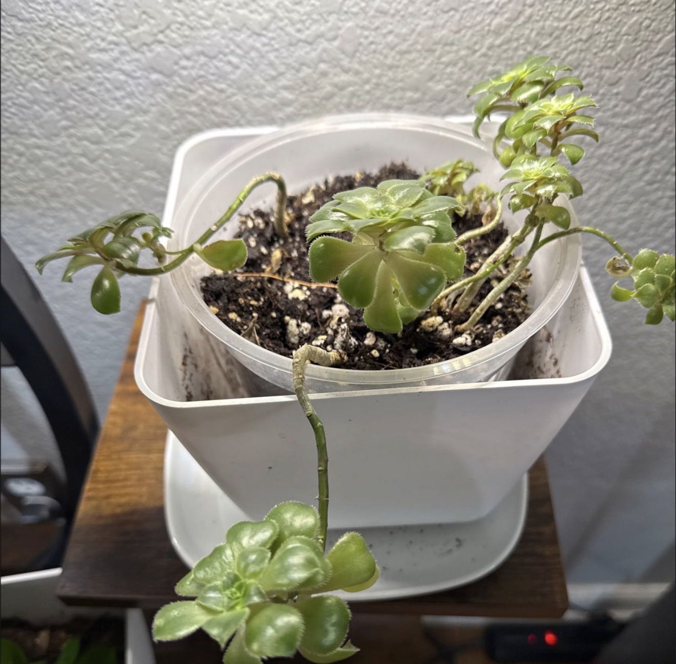 Photo from the post