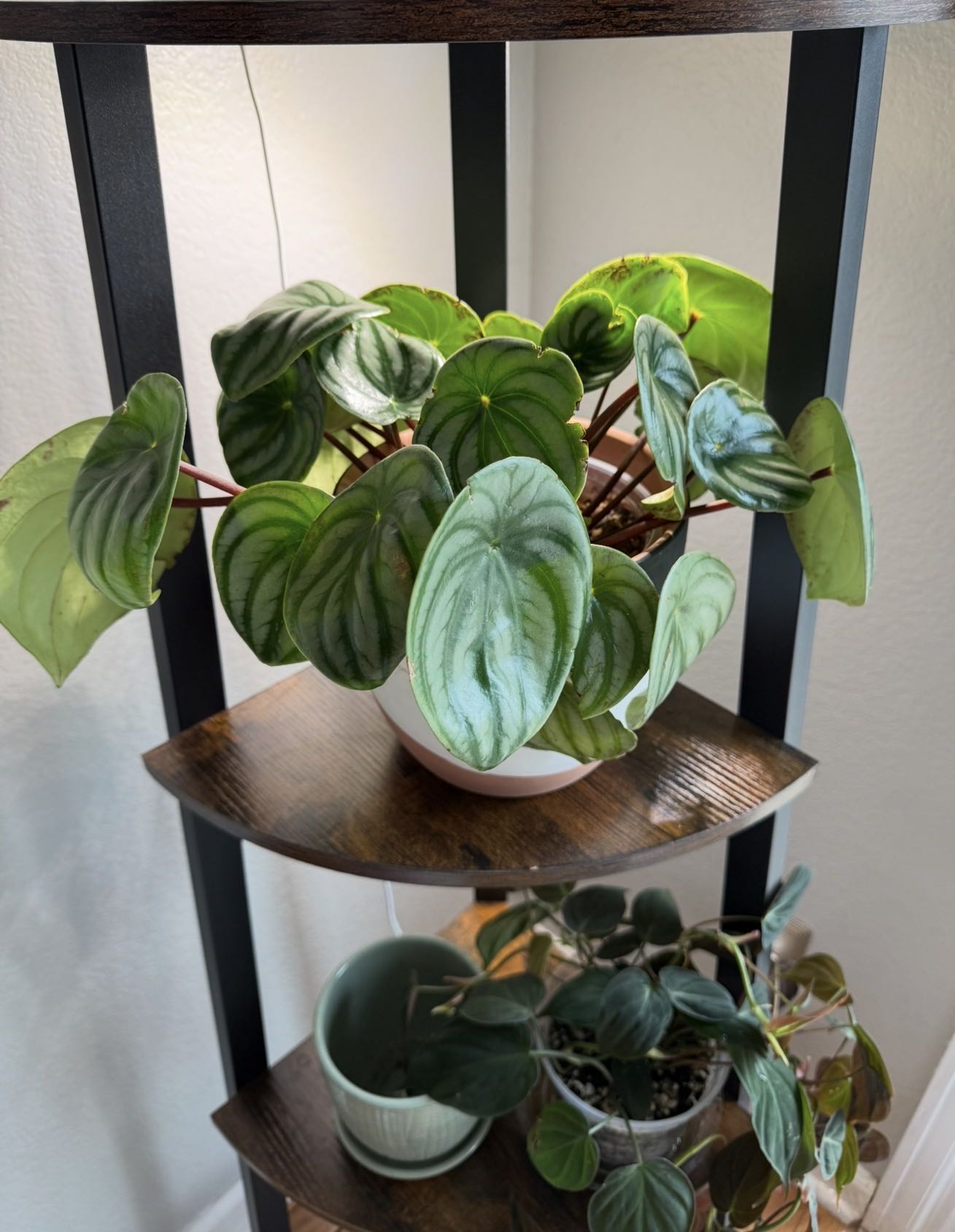 Photo from the post