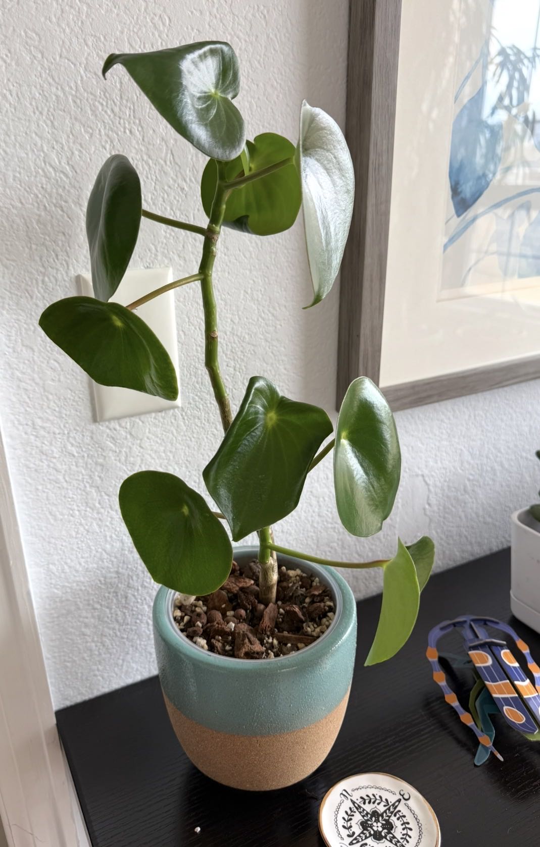 Photo from the post