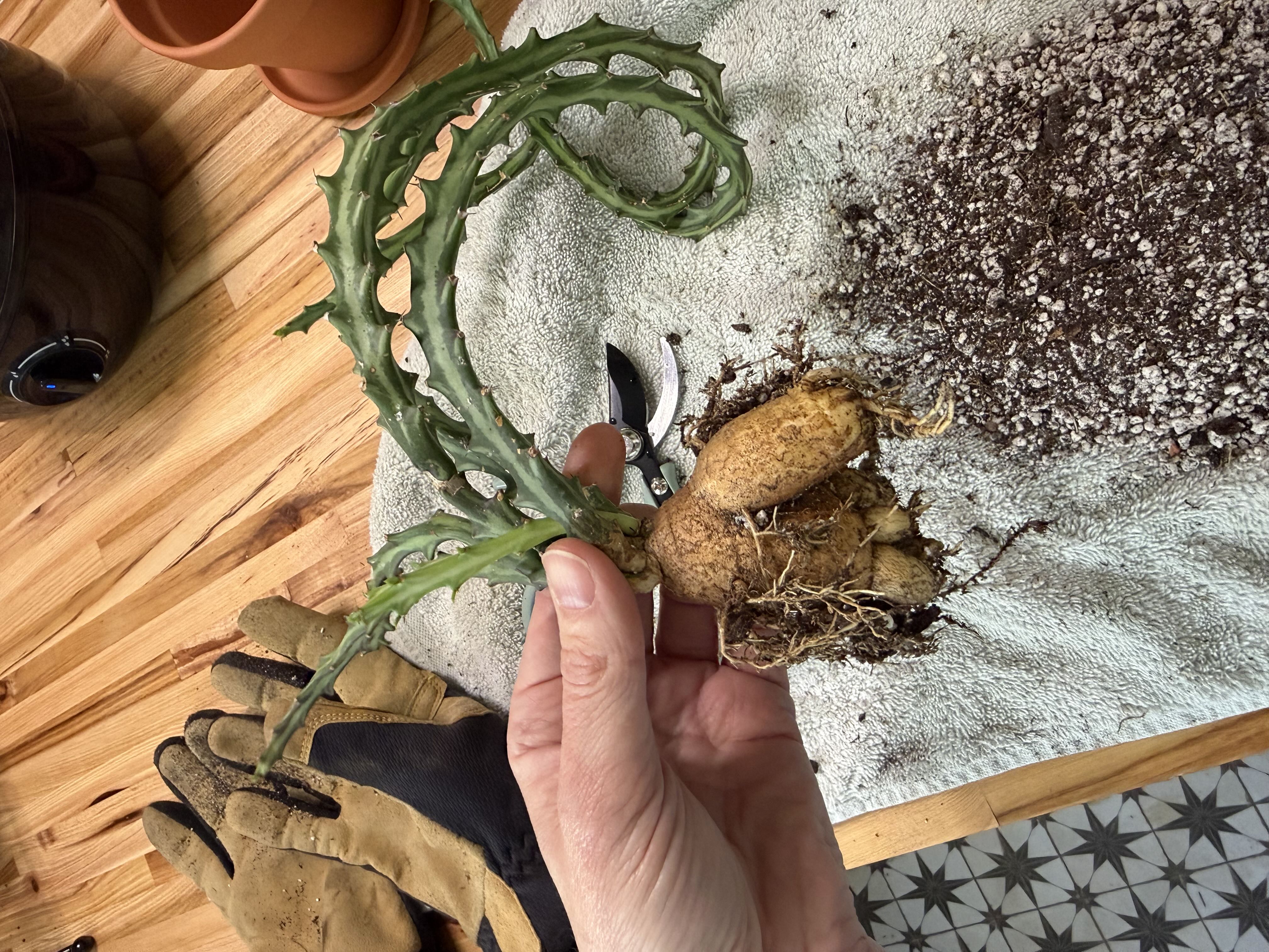 Photo from the post