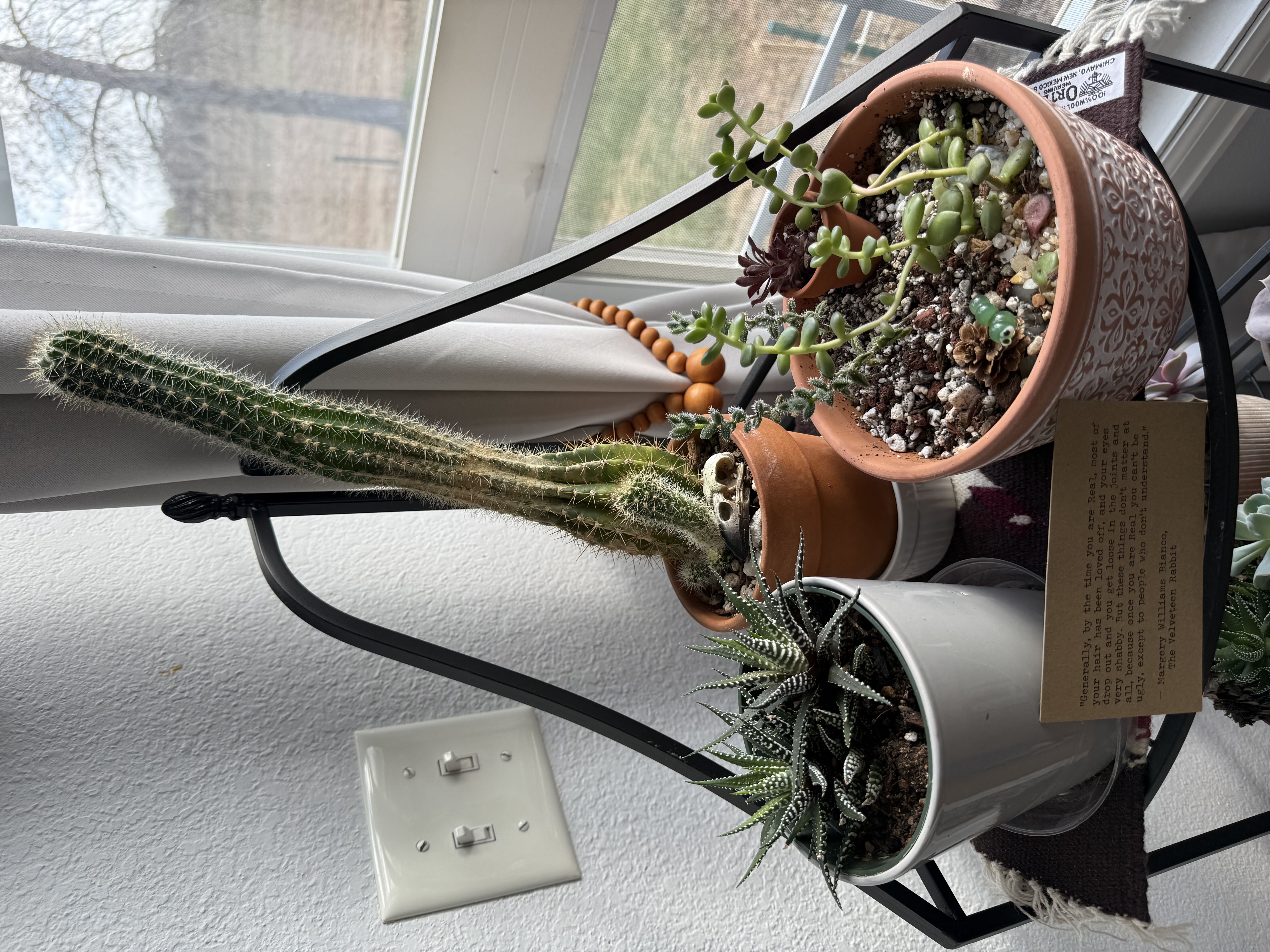Photo from the post