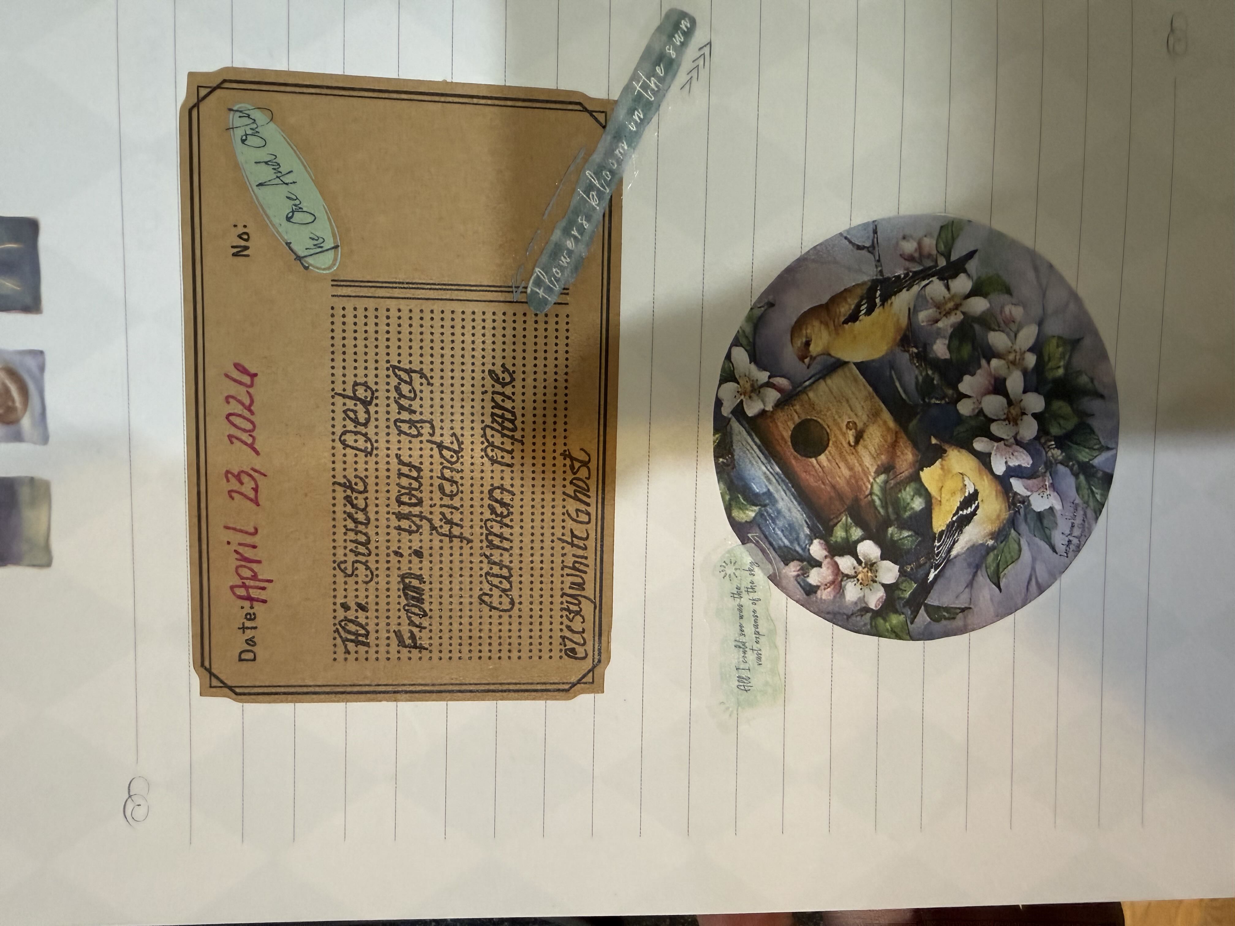 Photo from the post
