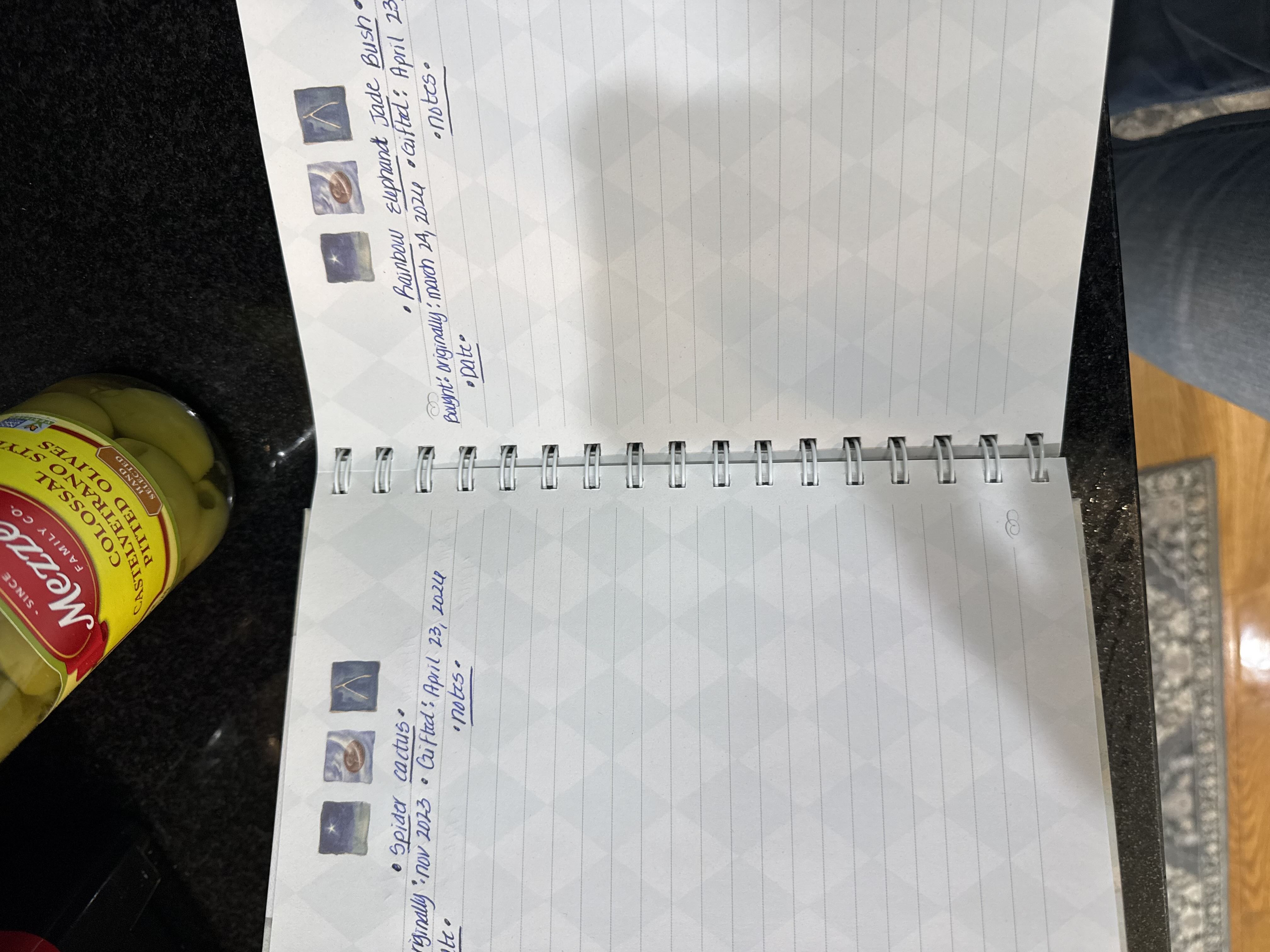 Photo from the post