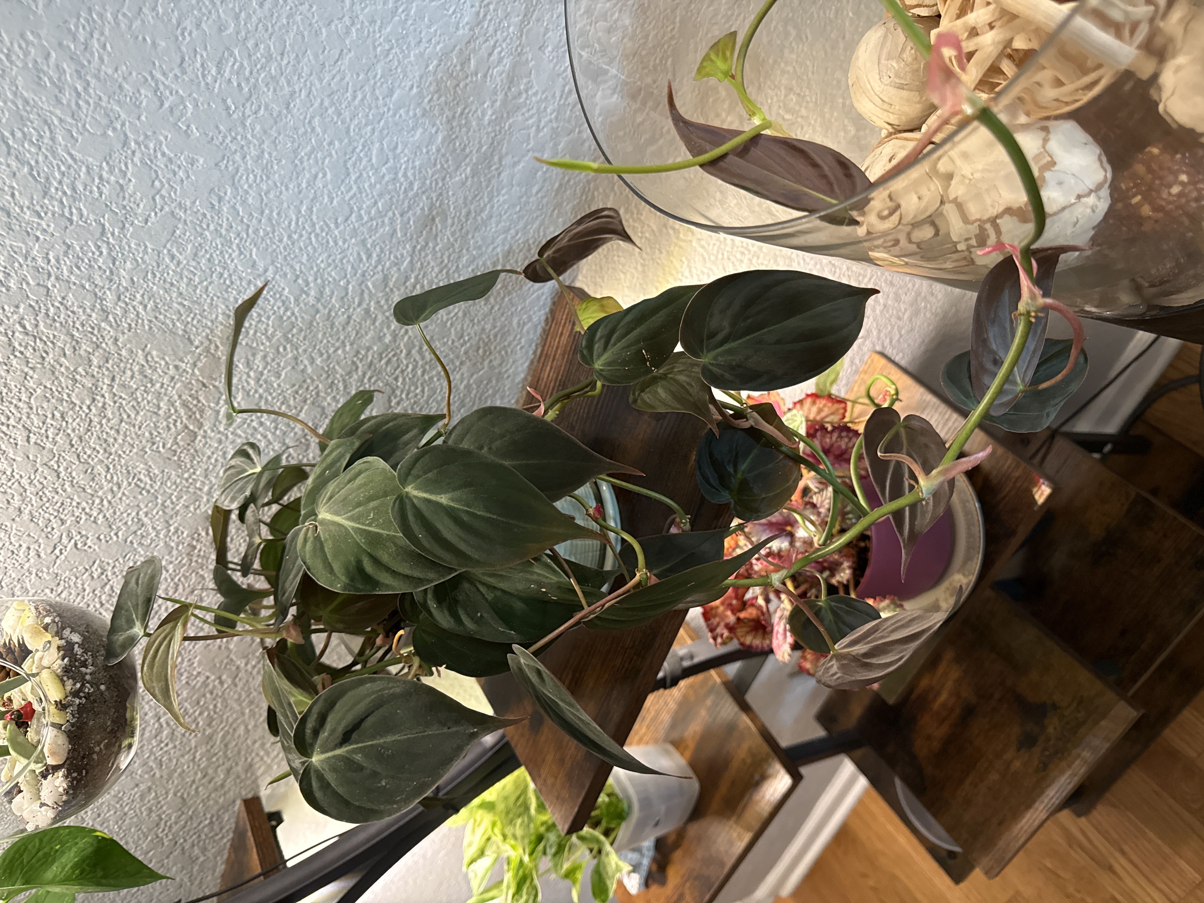 Photo from the post