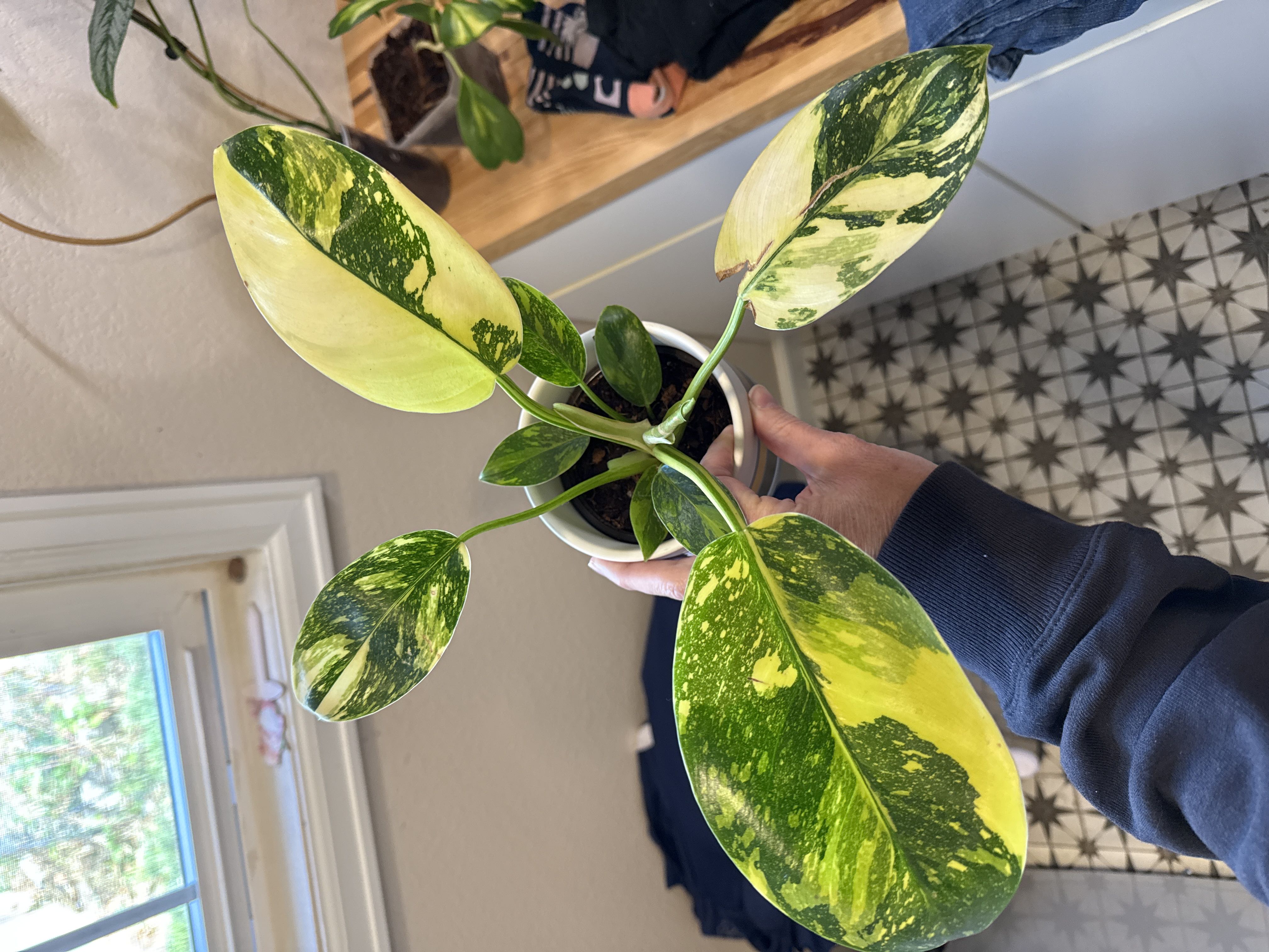 Photo from the post