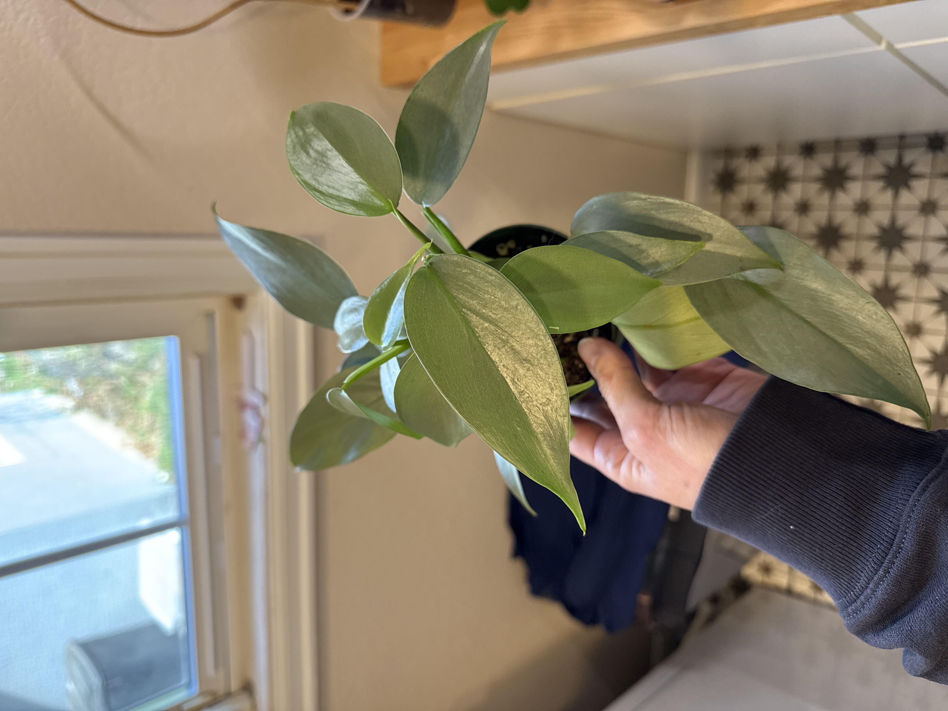 Photo from the post