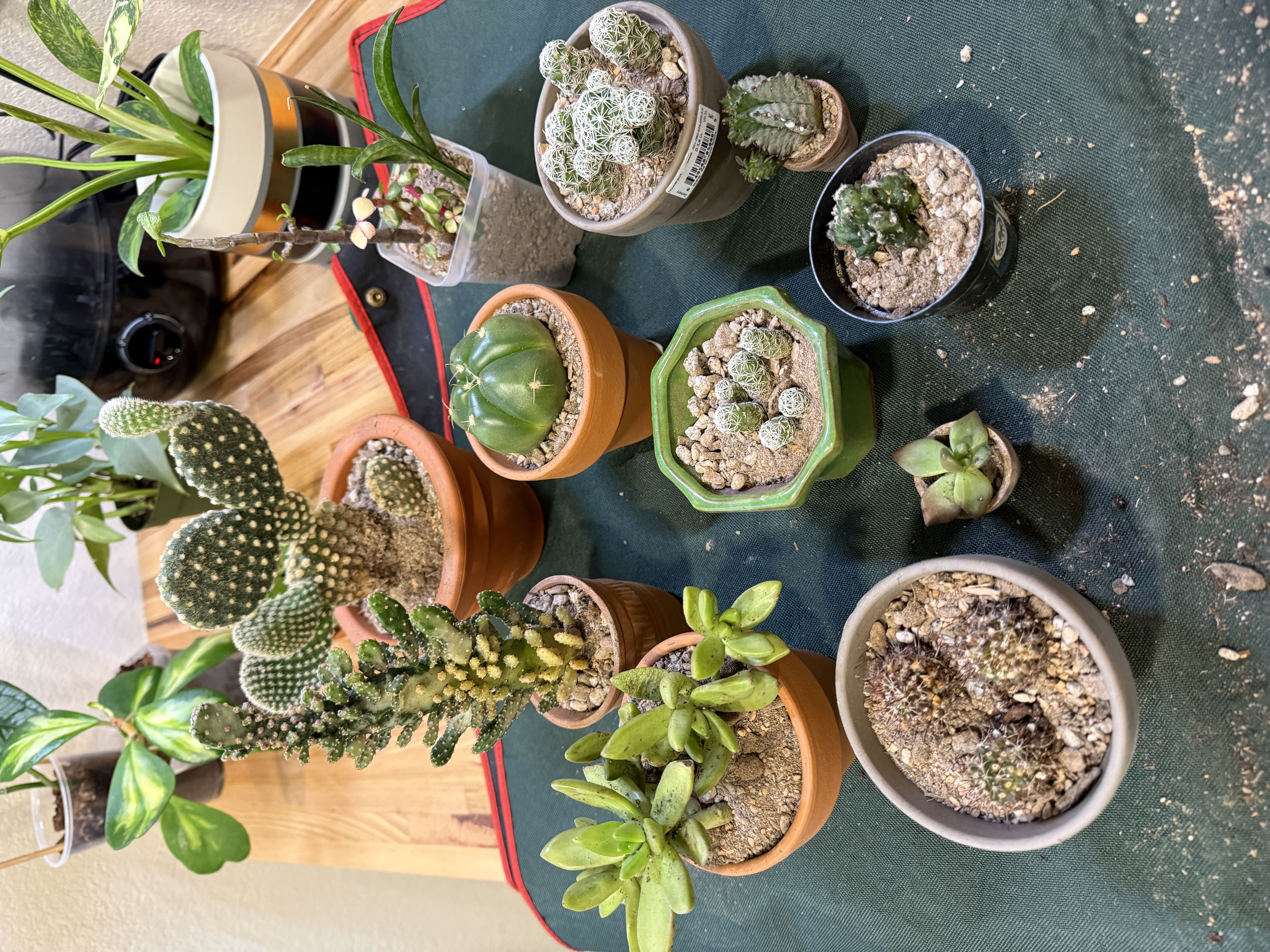 Photo from the post