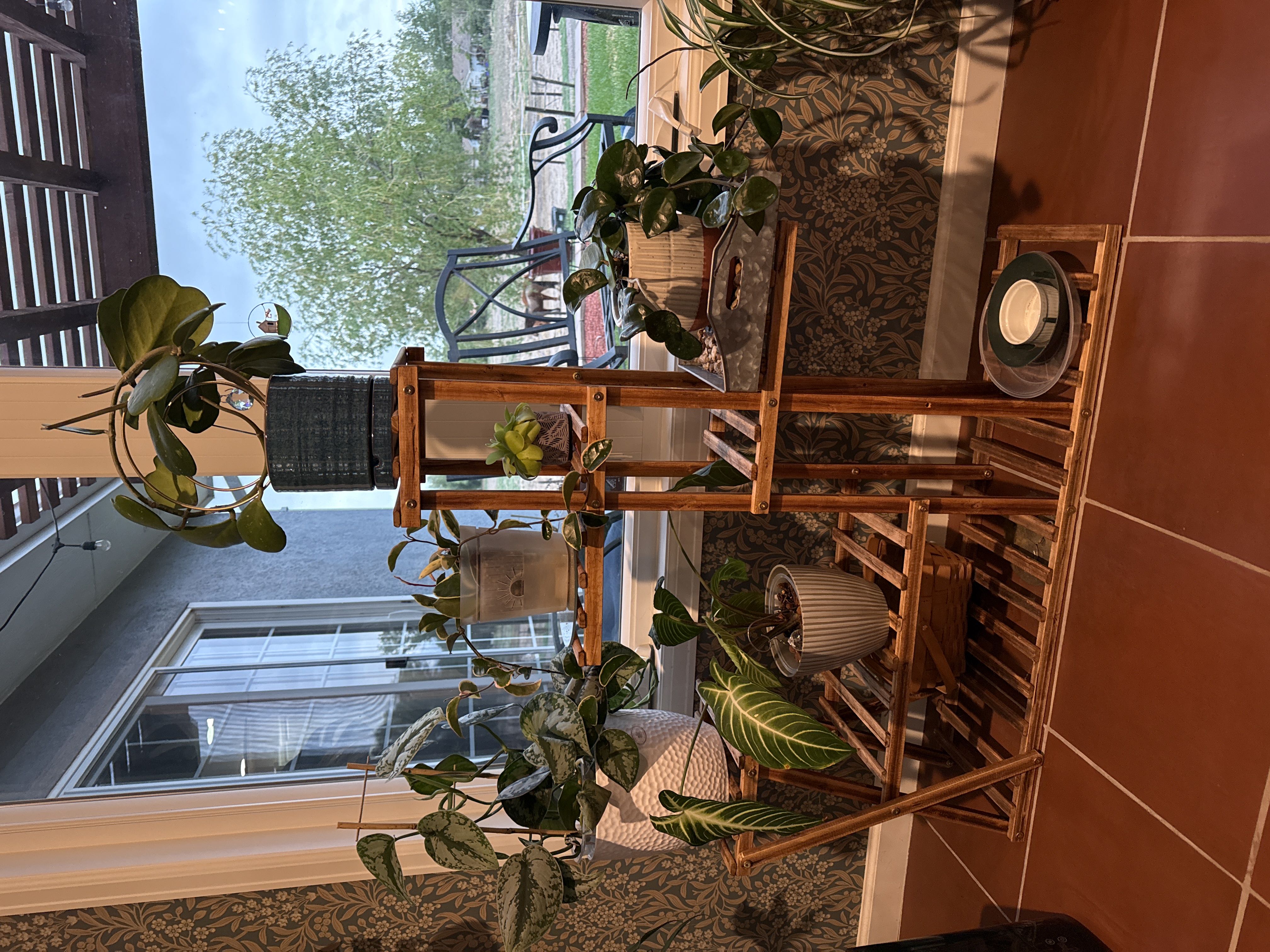 Photo from the post
