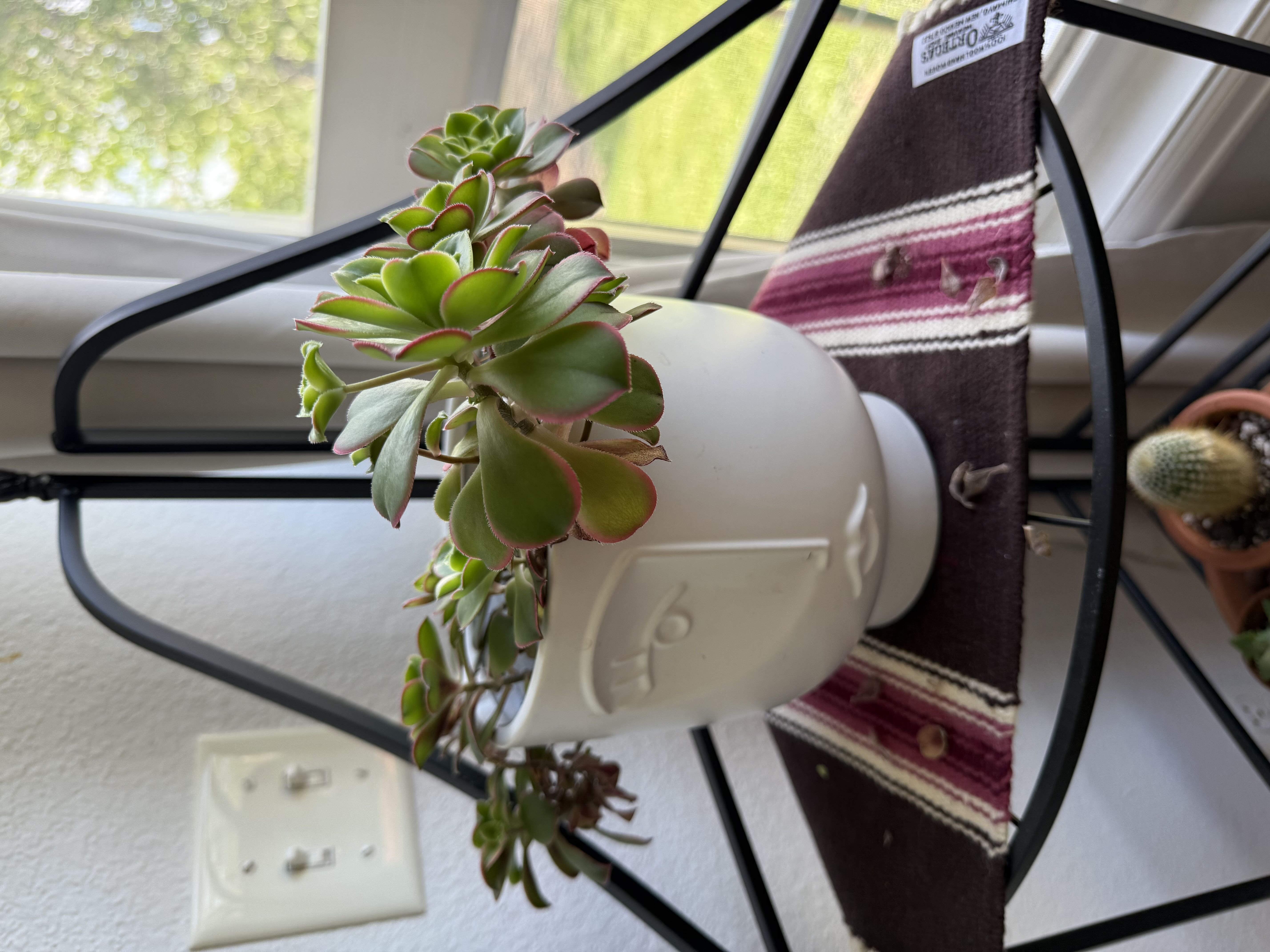 Photo from the post