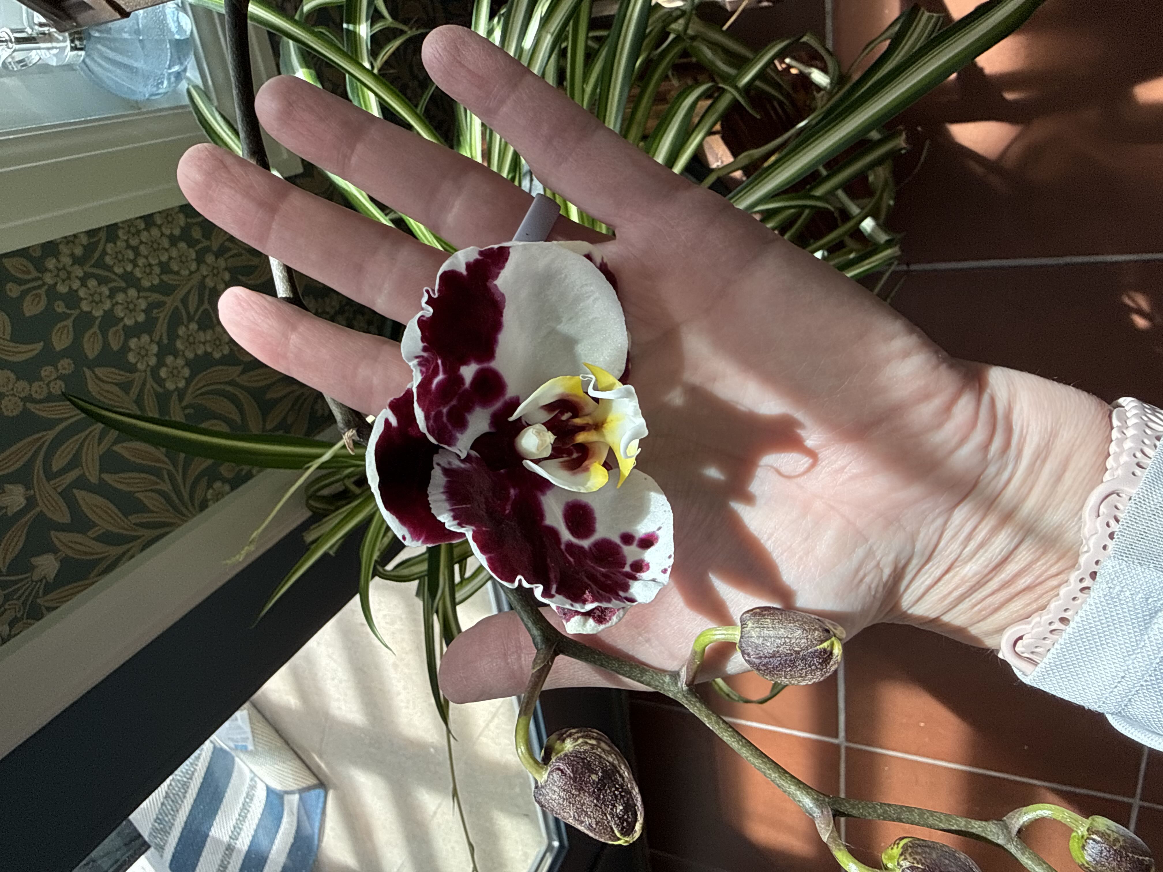 Photo from the post