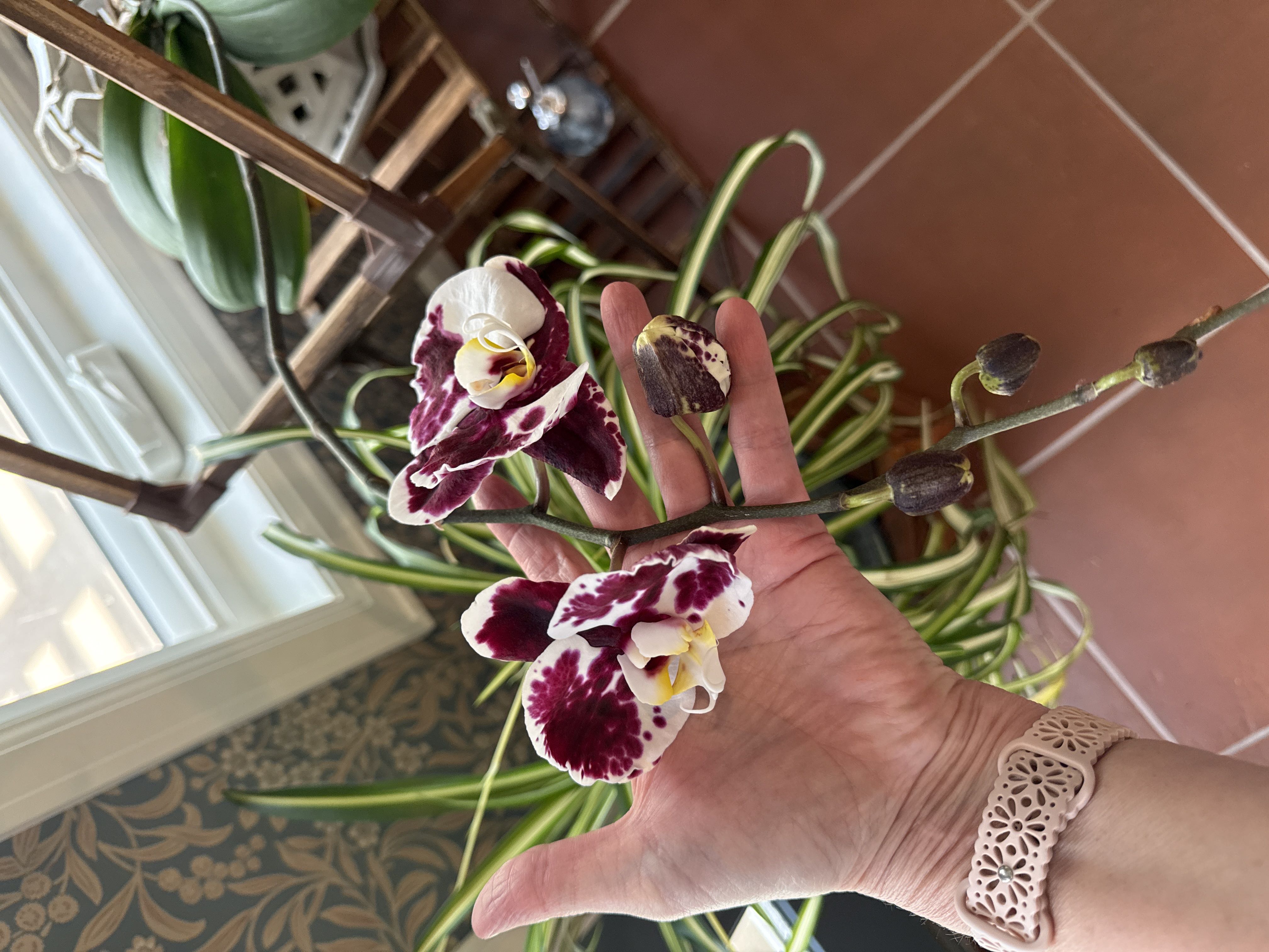 Photo from the post