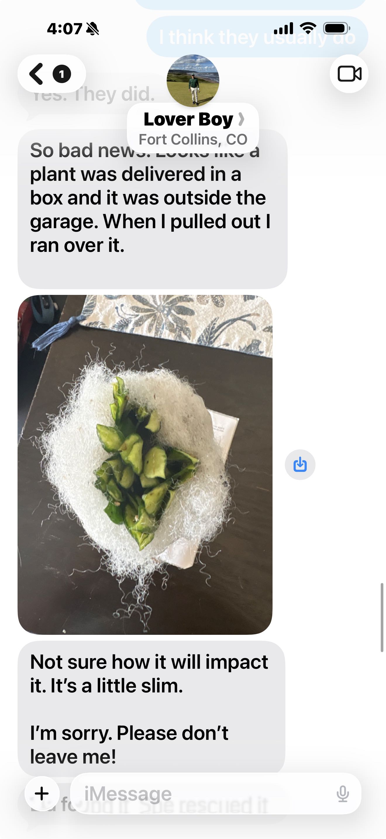 Photo from the post