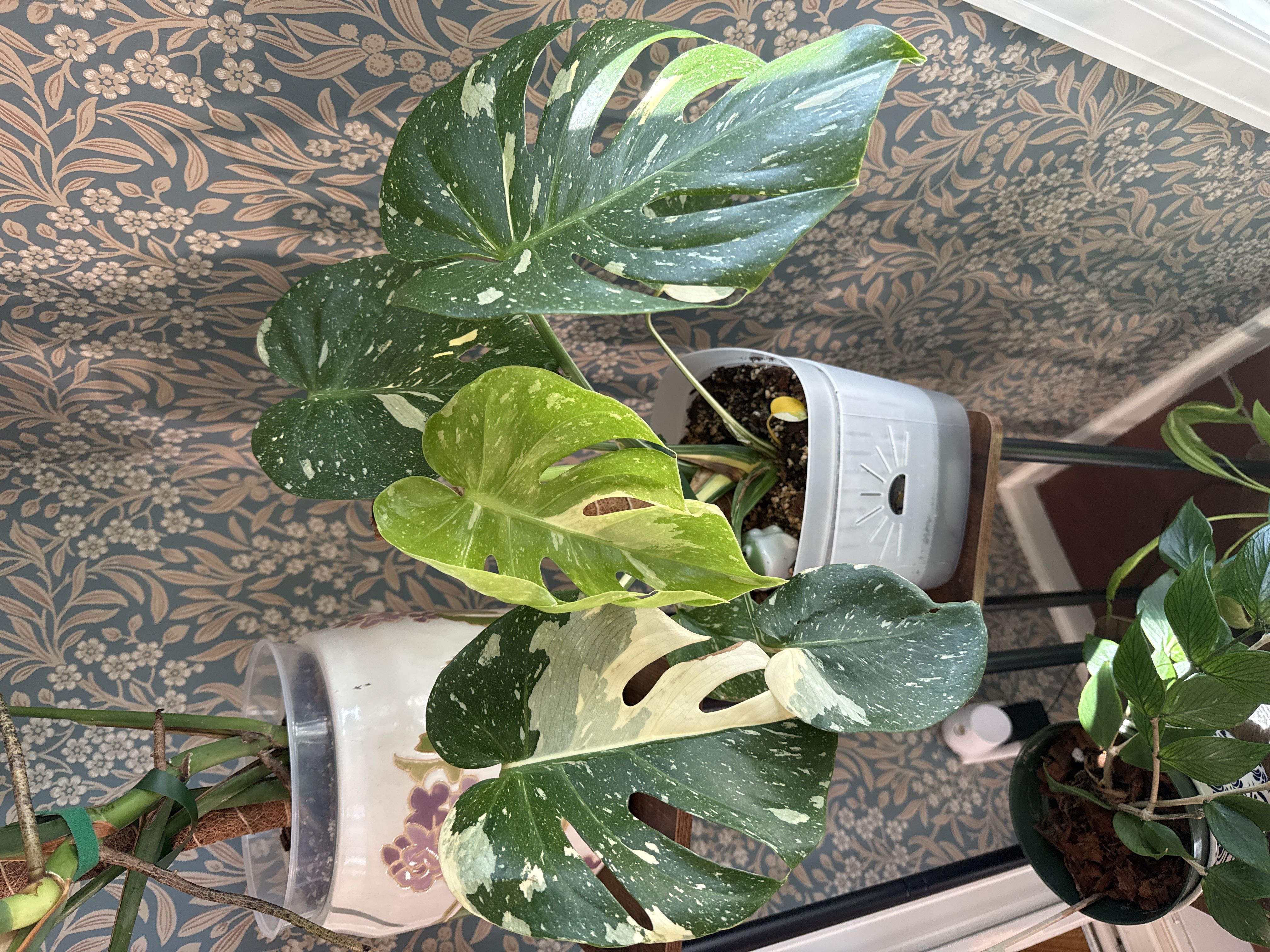 Photo from the post