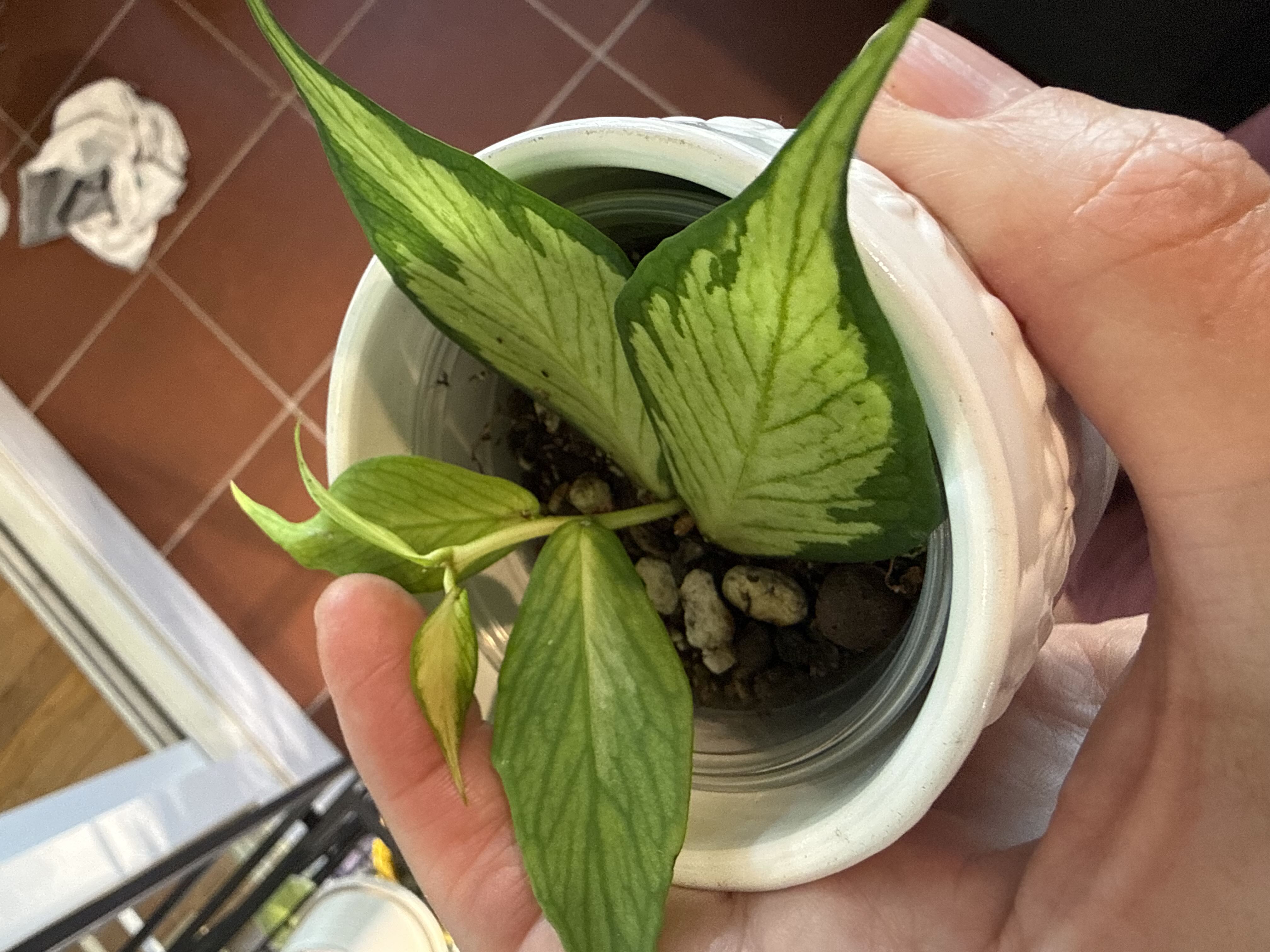 Photo from the post