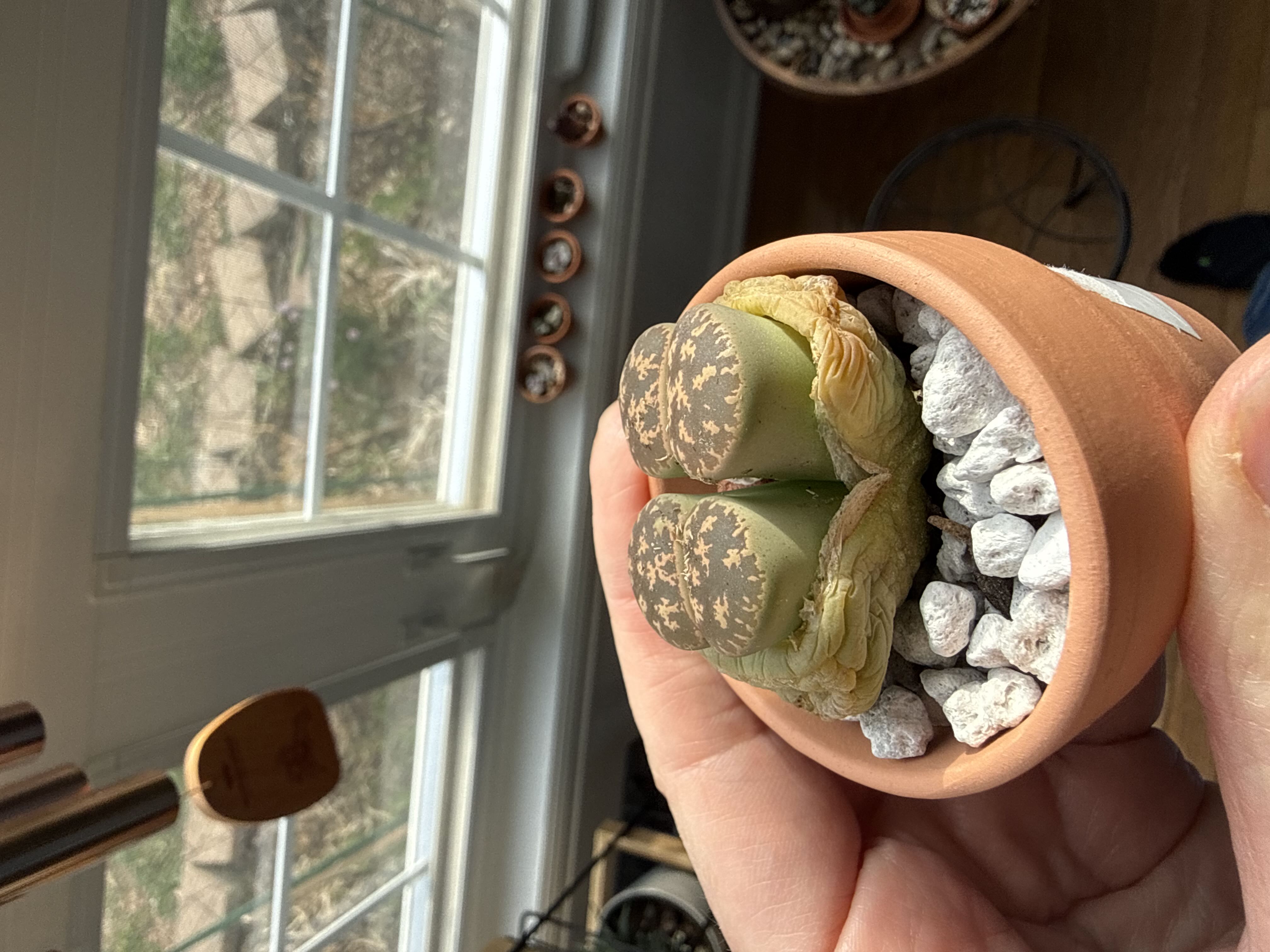 Photo from the post