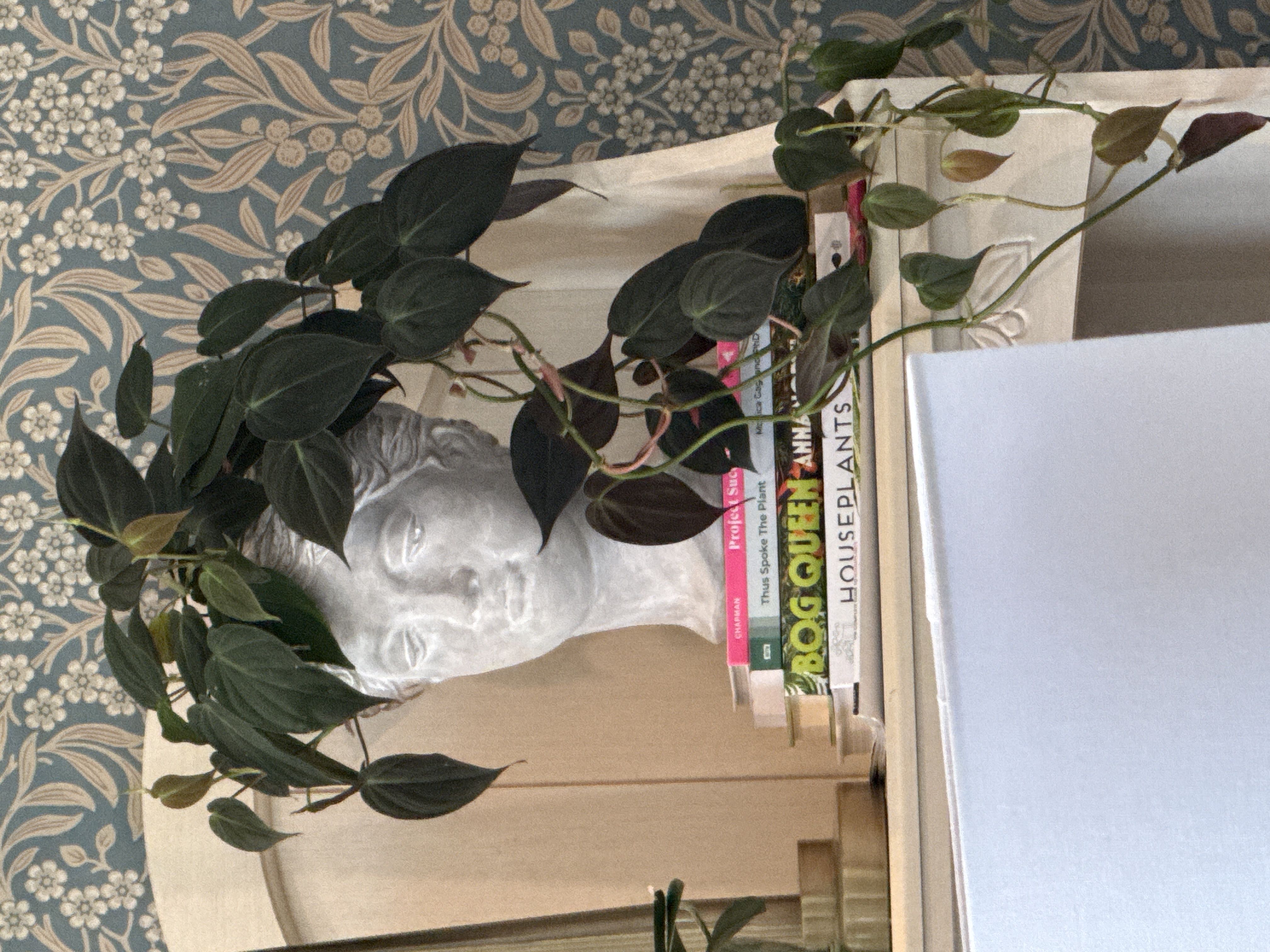 Photo from the post